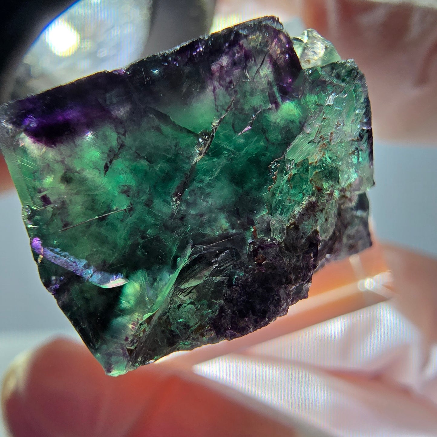 Spécimen de cube de fluorite fantôme, parqueté vert violet Okorusu, Namibie 22*22*18 mm