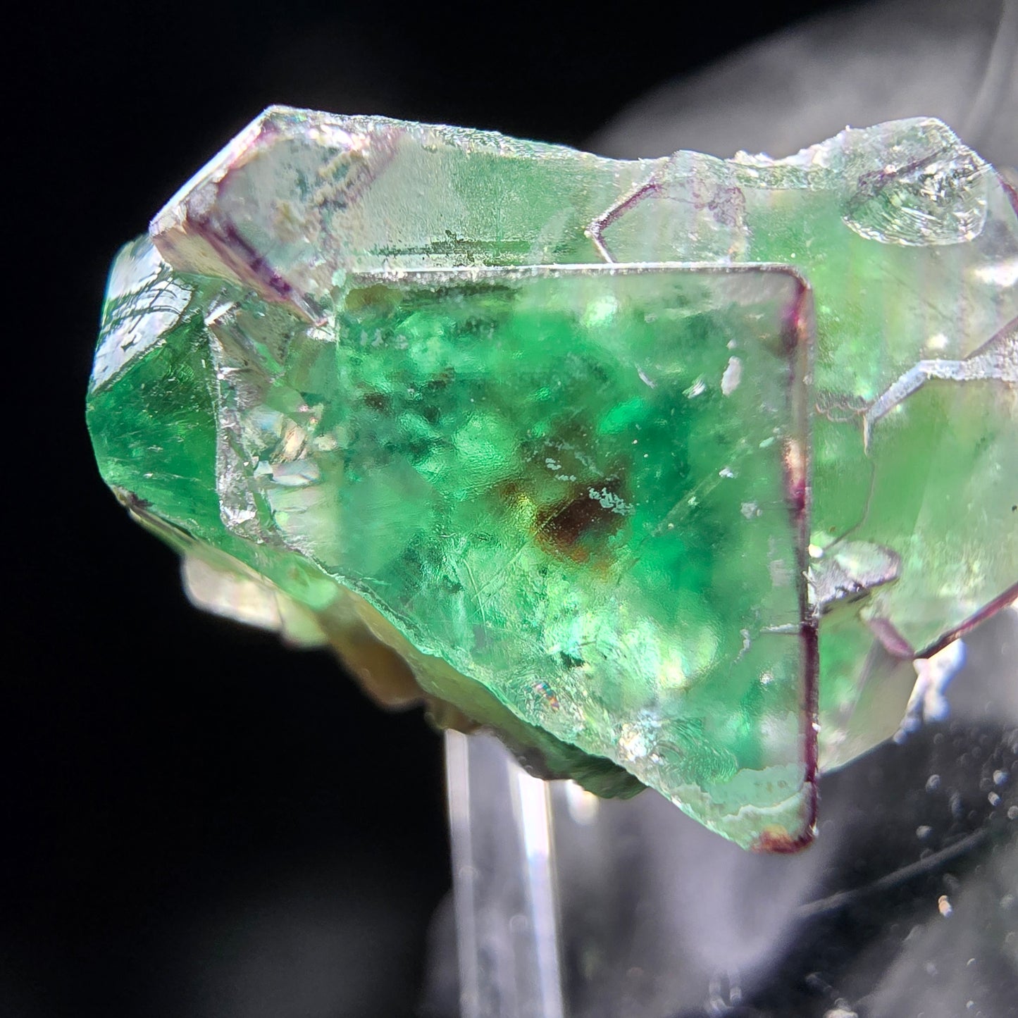 Phantom Fluorit Würfel, Muskovit Stufe Erongo, Namibia 26*20*17mm Sammlung