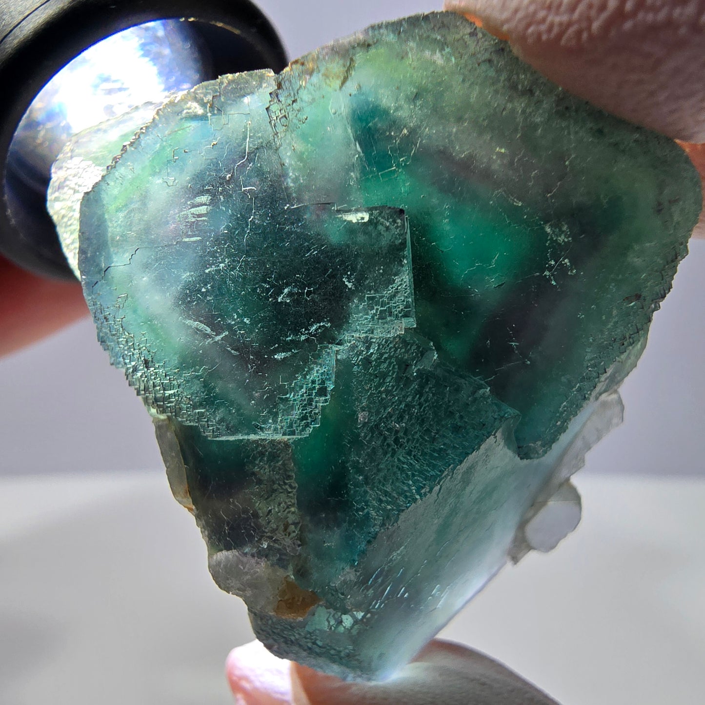 Spécimen de cube de fluorite fantôme, parqueté vert violet Okorusu, Namibie 44*43*21 mm