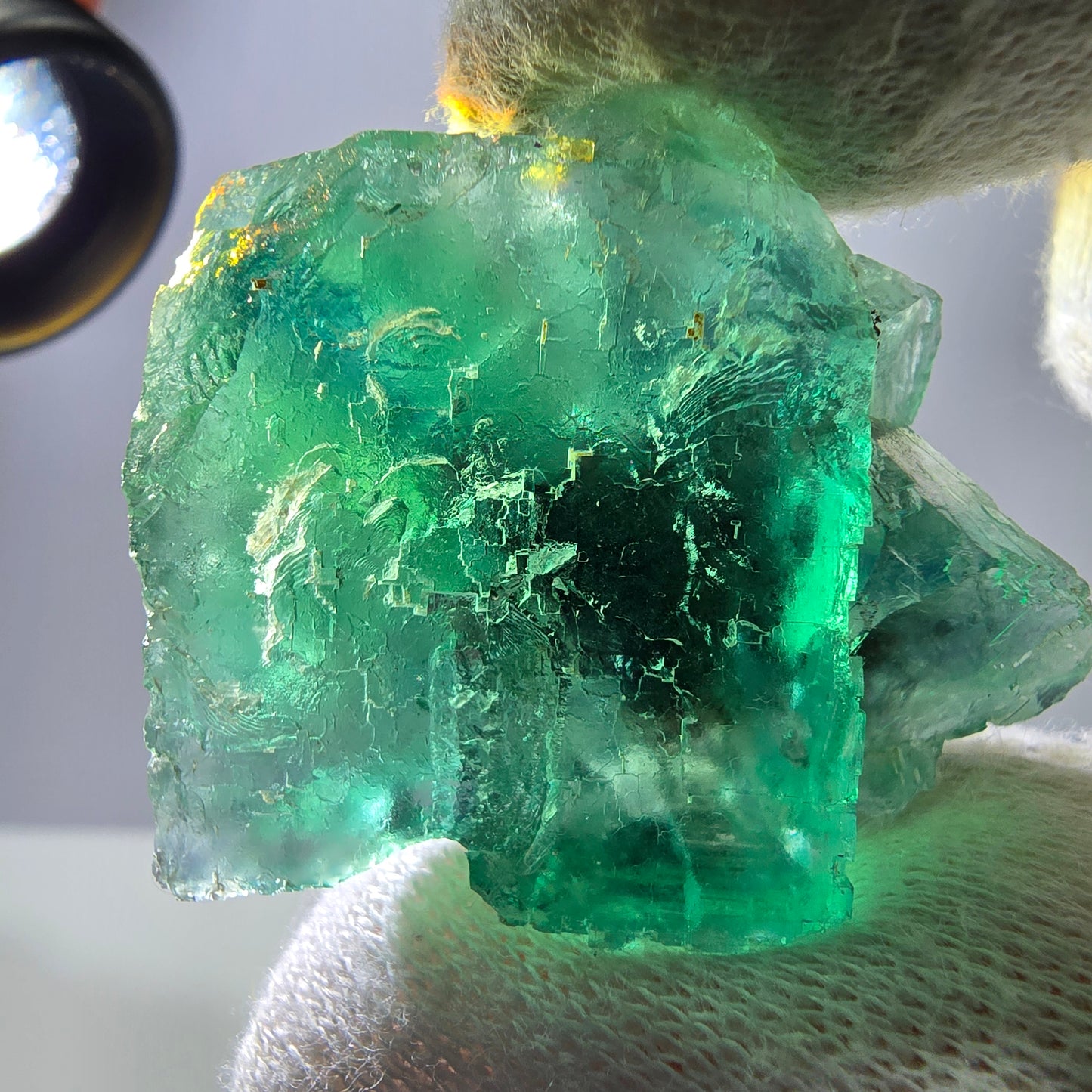Rare spécimen de cube de fluorite fantôme, parqueté vert Okorusu, Namibie, 40 x 33 x 23 mm