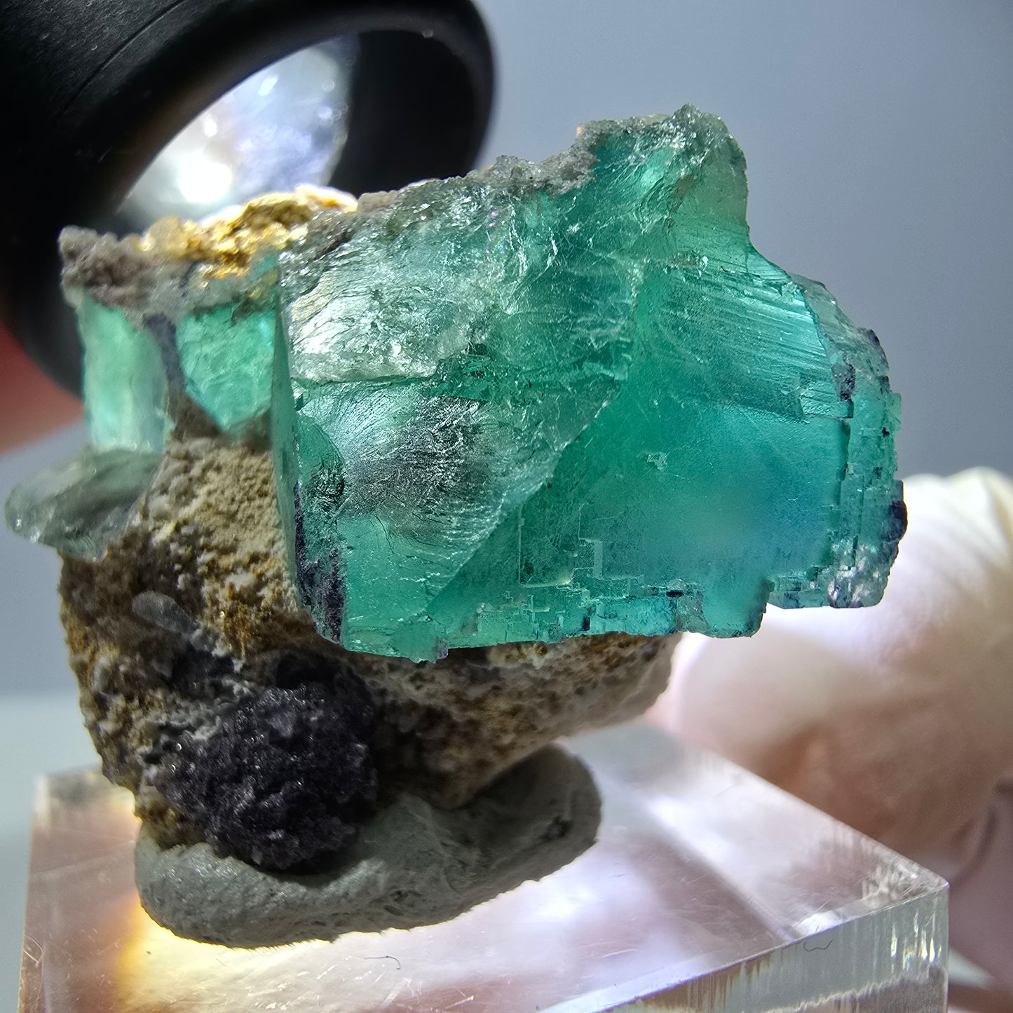 Spécimen de cube de fluorite fantôme, parquet vert Okorusu, Namibie 34*29*28 mm