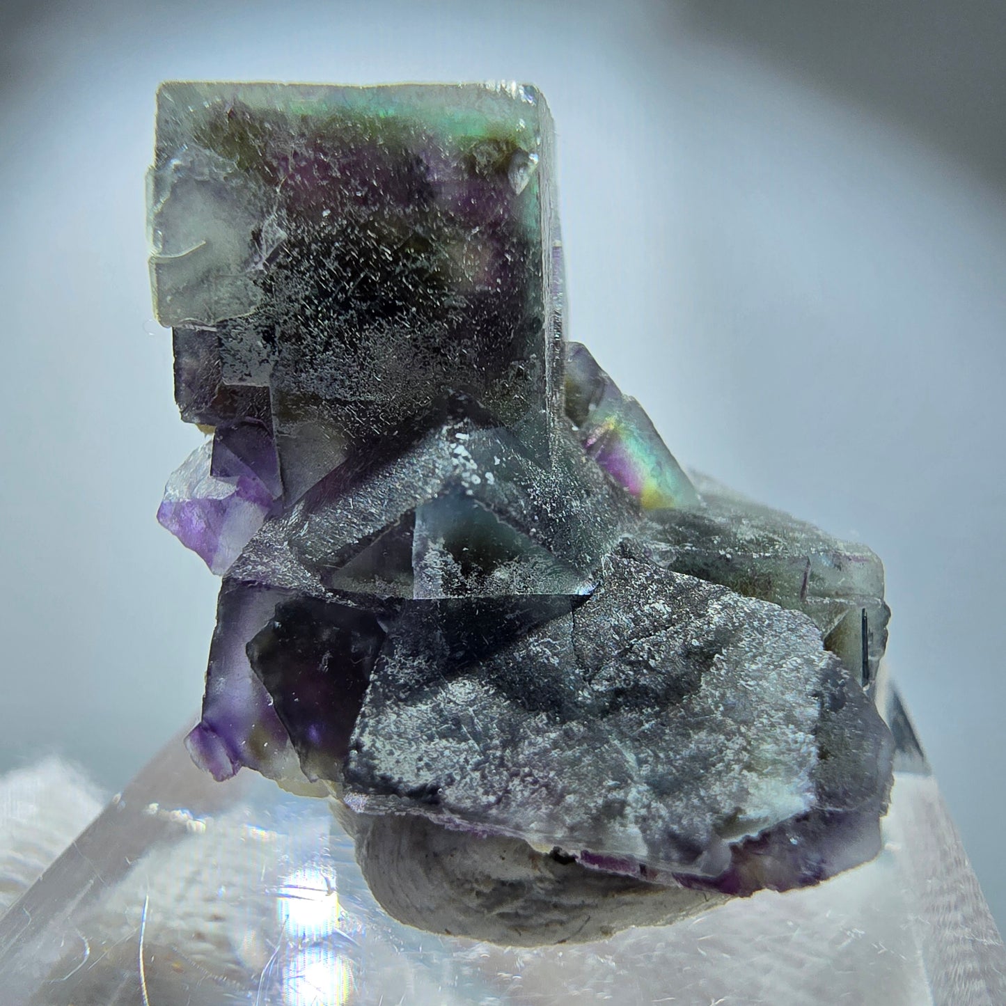 Spécimen de cube de fluorite fantôme coloré, vert violet jaune, Erongo, Namibie 29 x 20 x 14 mm