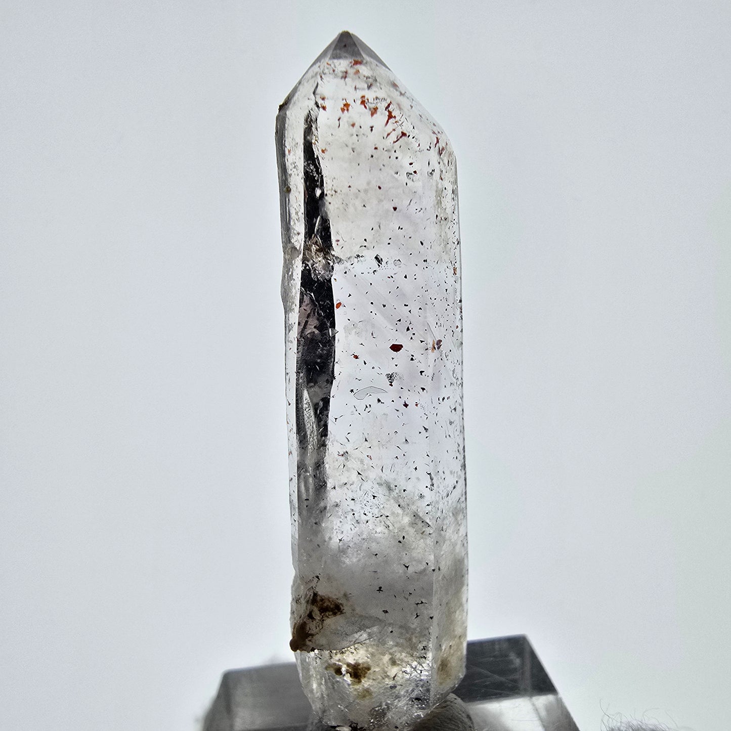 Harlequin Phantom Amethyst DT Scepter Tip Valentine Pocket, Namibia 51*14*10mm