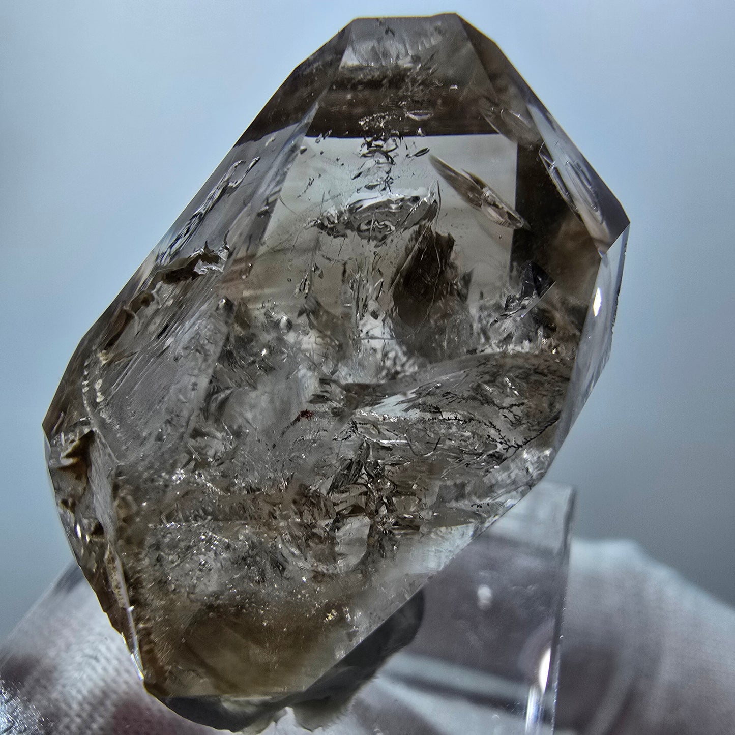 Enhydro Phantom Rauchquarz Zepter, 1x Blase Goboboseb, Namibia 32*23*18mm