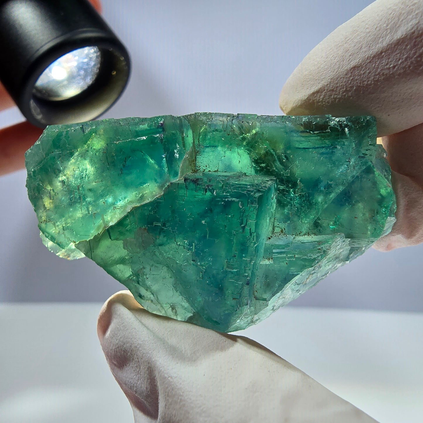 Spécimen de cube de fluorite fantôme transparente, vert parqueté, Okorusu, Namibie, 50 x 34 x 21 mm