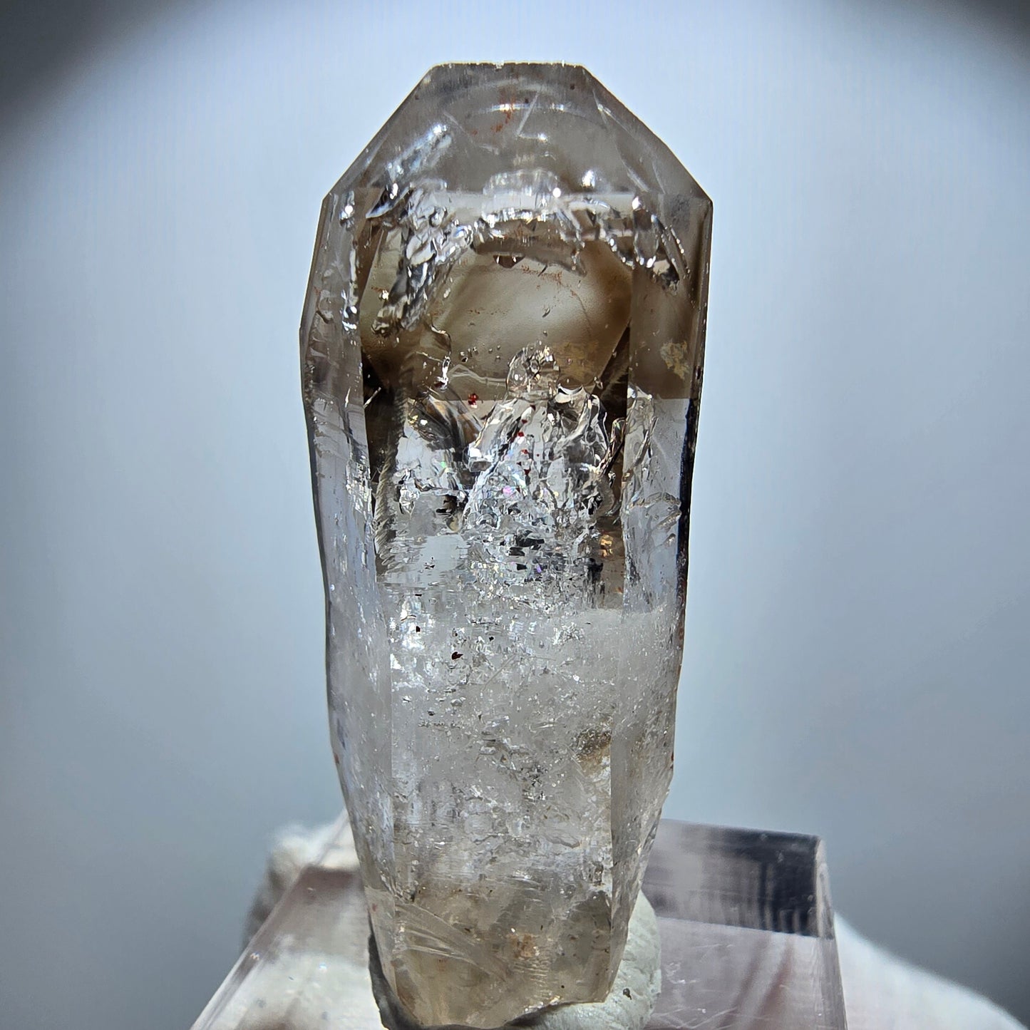 Enhydro Phantom Rauchquarz Zepter, 1x Blase Goboboseb, Namibia 41*17*14mm