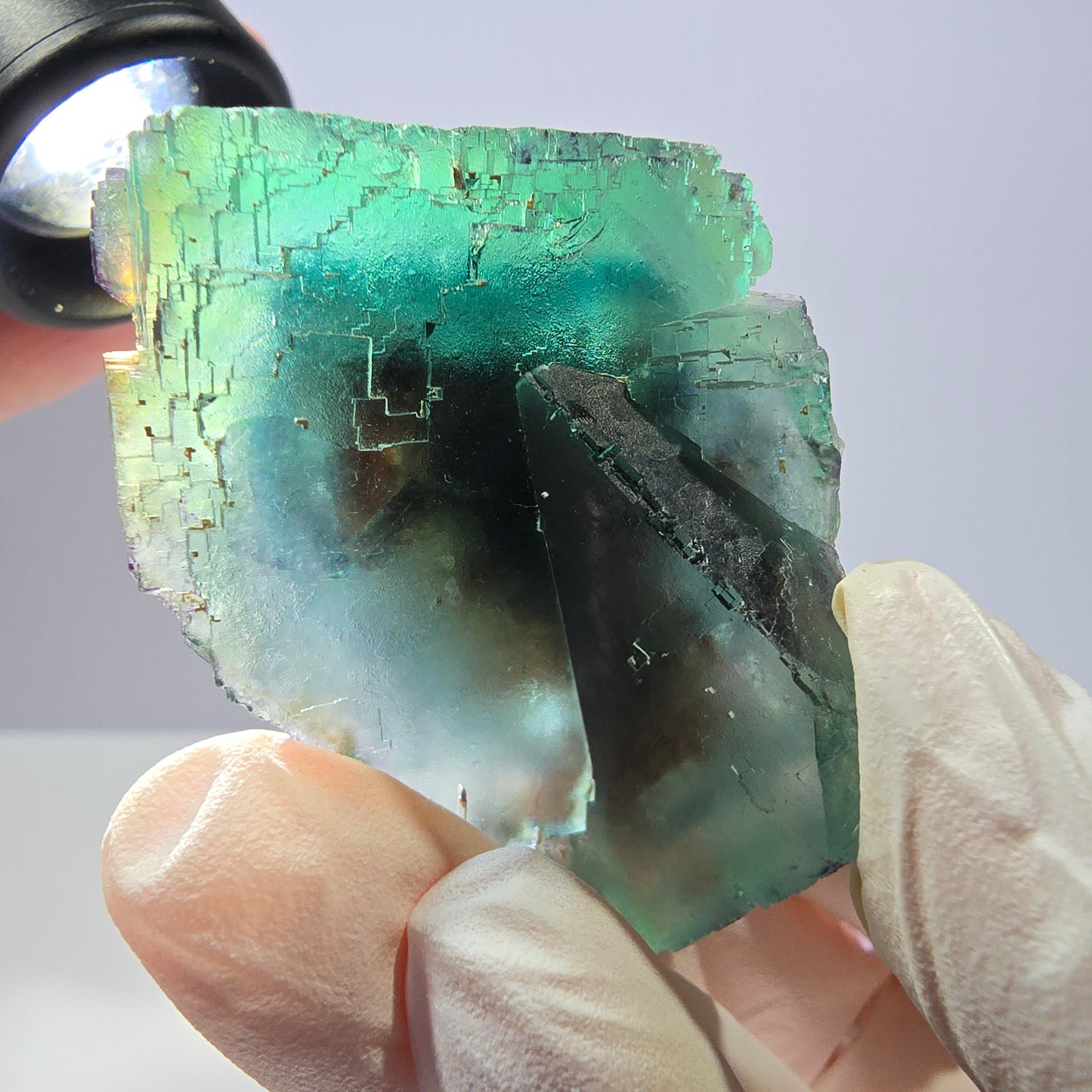 Spécimen de cube de fluorite fantôme transparente, vert parqueté, Okorusu, Namibie, 62 x 34 x 32 mm
