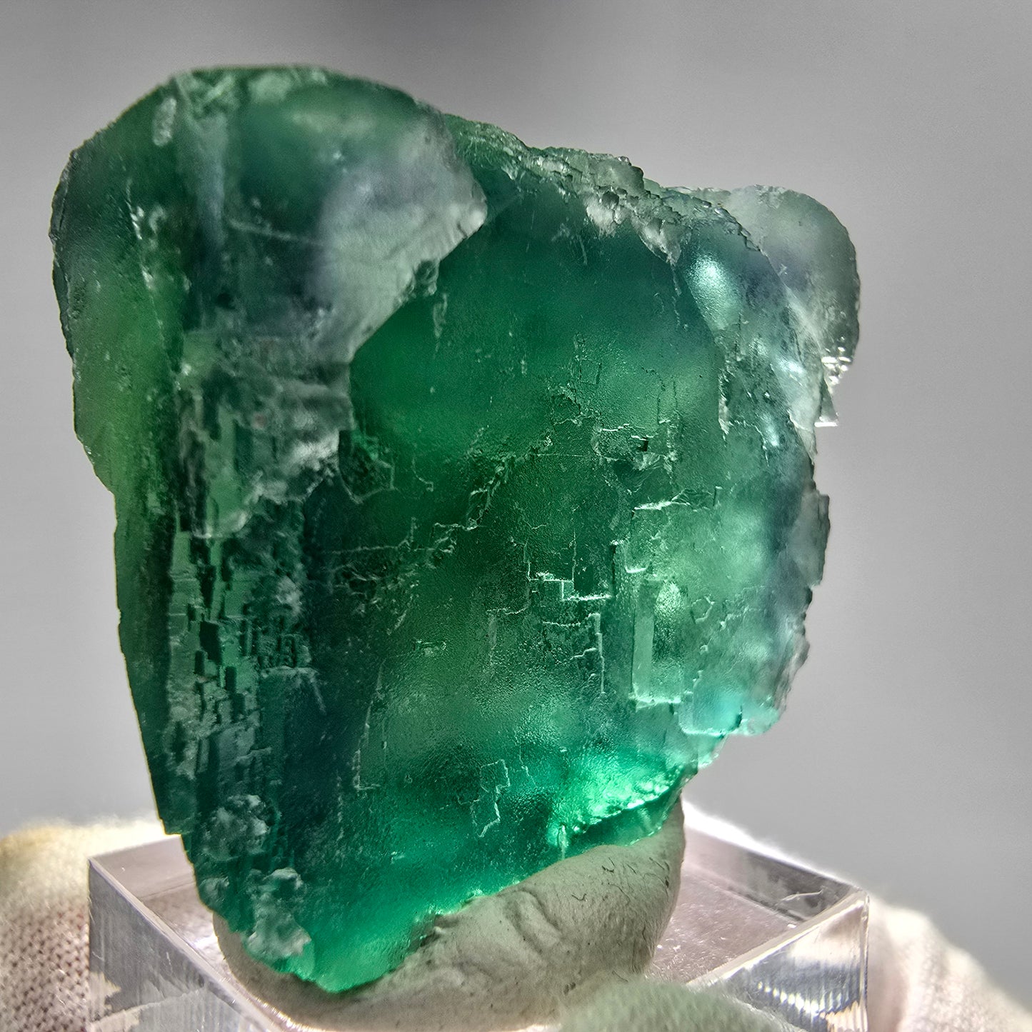 Klare Phantom Fluorit Würfel Stufe grün Okorusu, Namibia 48*43*23mm Sammlung