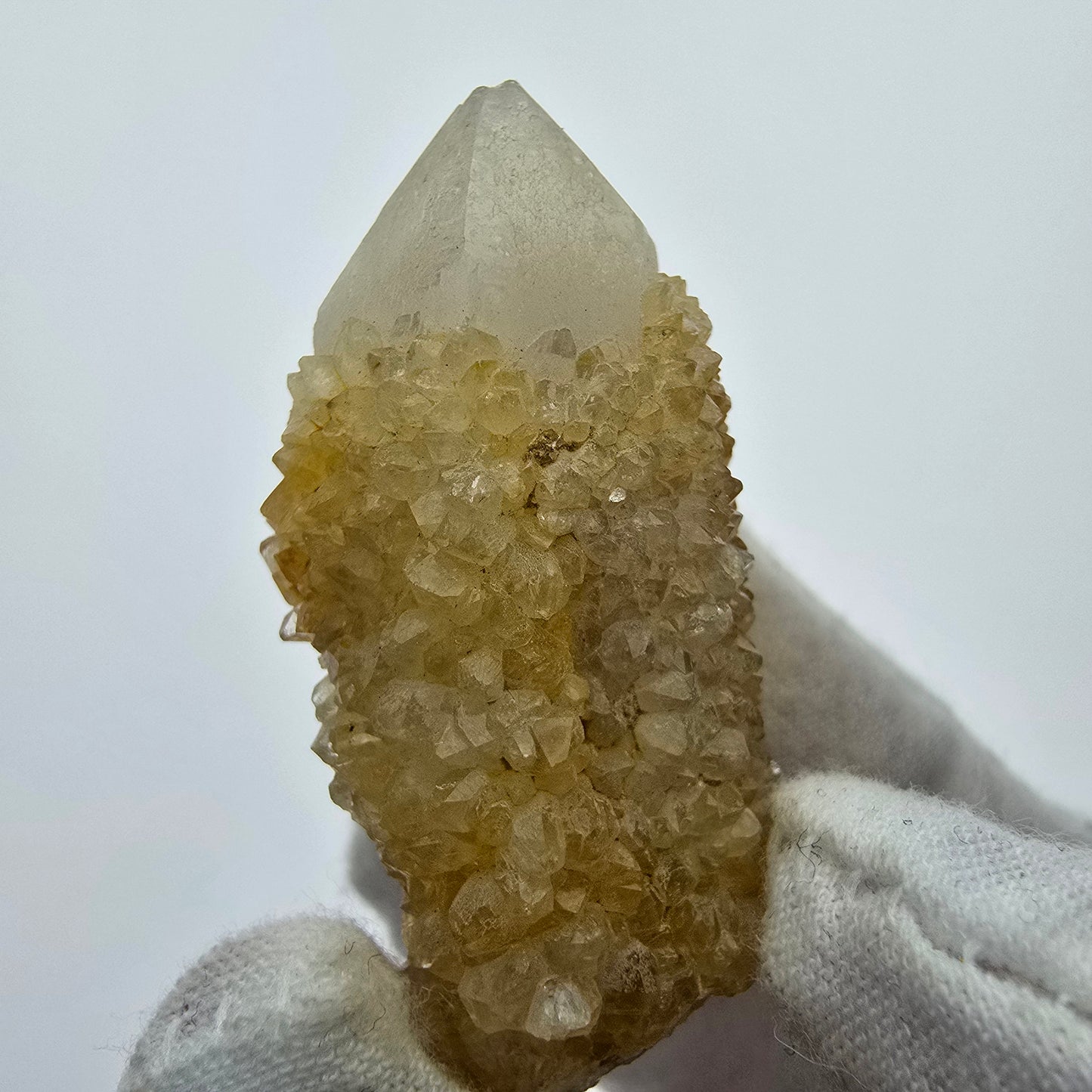 Kaktusquarz, Spirit Quarz XX Stufe Boekenhouthoek, Südafrika 49*29*23mm Sammlung