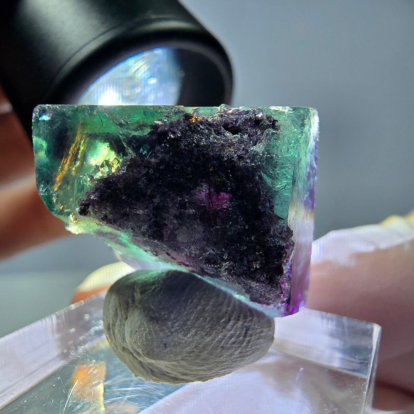Rare cube de fluorite fantôme parqueté vert violet Okorusu Namibie 18*18*16mm