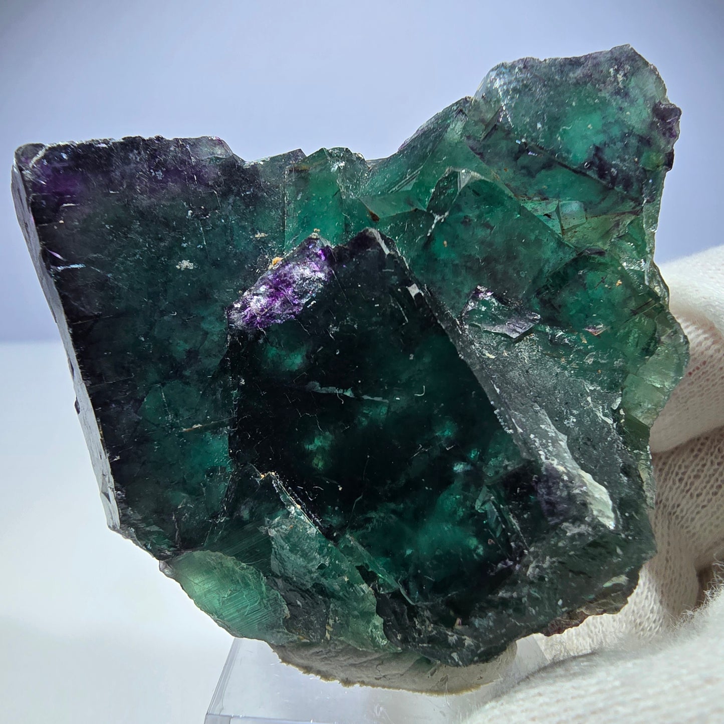 Seltene Phantom Fluorit Würfel Stufe zonal grün lila Okorusu, Namibia 63*53*28mm