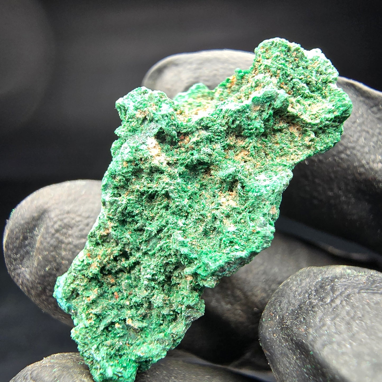 Spécimen rare de malachite, vert Kaokoveld, collection minérale 30*14*17mm namibie