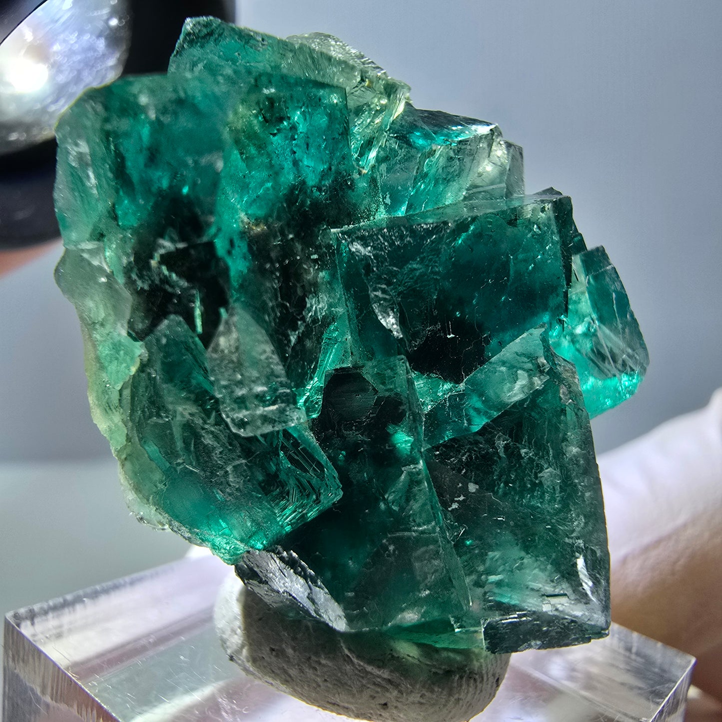 Spécimen de cube de fluorite fantôme, parquet vert Okorusu, Namibie 37 x 29 x 20 mm