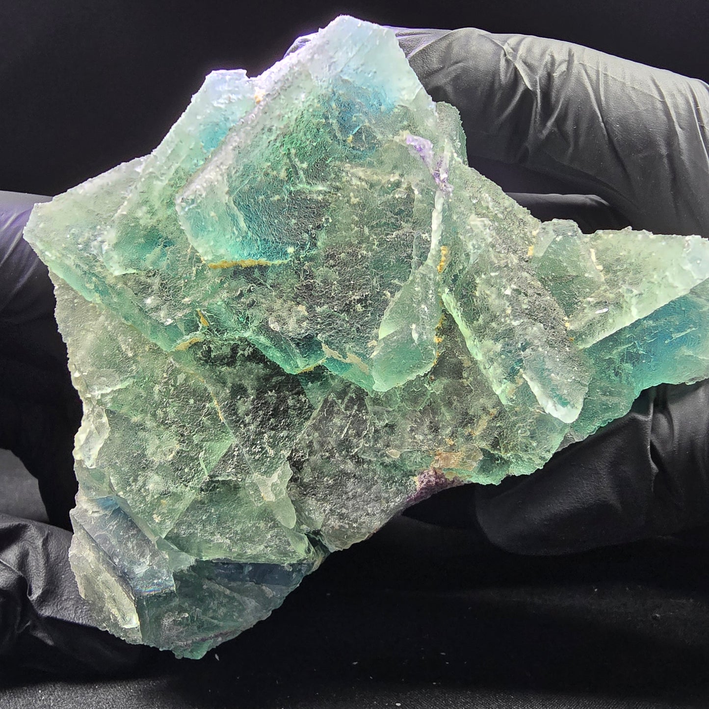 Große Phantom Fluorit XX Oktaeder Stufe grün blau 110*77*71mm aus Erongo Namibia