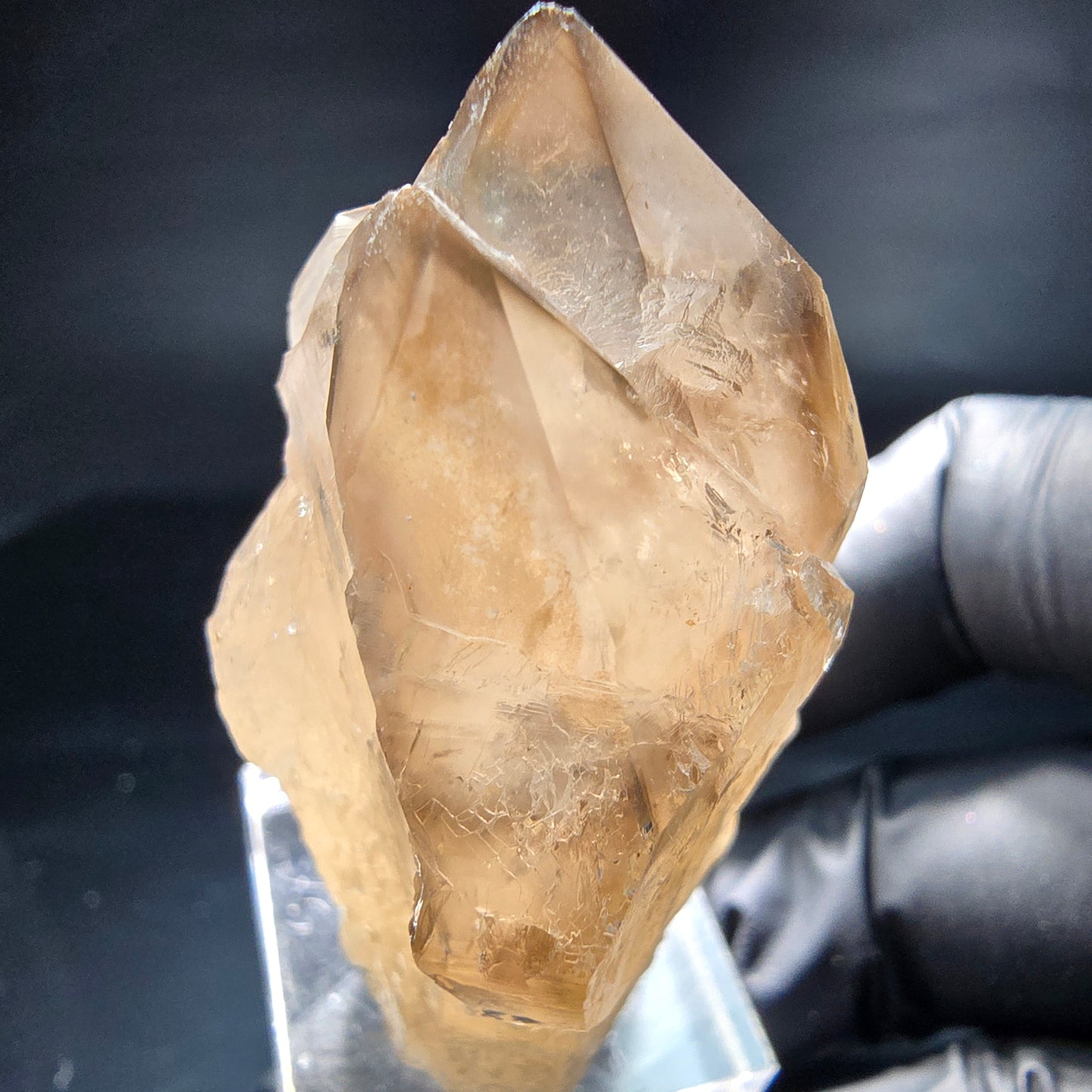 Schöne Phantom Rauchquarz Zepter Spitzen Erongo, Namibia 56*33*28mm Sammlung
