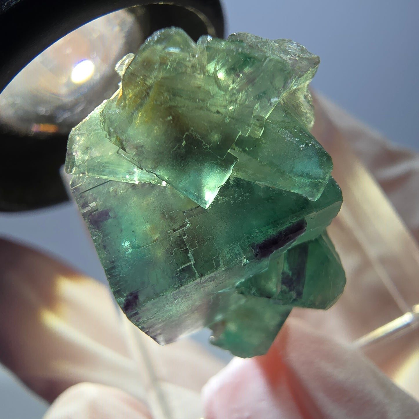 Spécimen de cube de fluorite fantôme, parqueté vert violet Okorusu, Namibie 25*21*14 mm