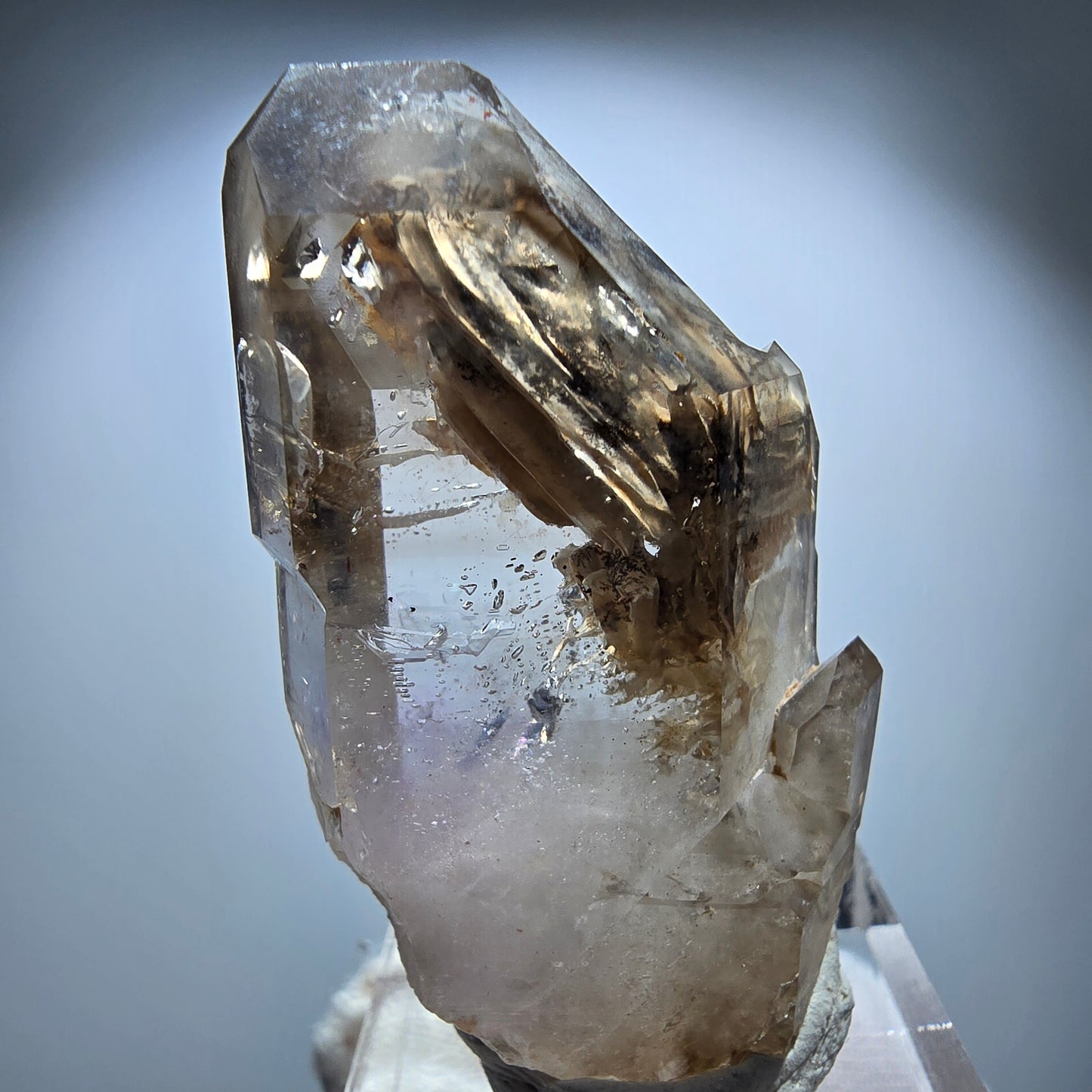 Phantom Rauchquarz Skelett Zepter Stufe Goboboseb, Namibia 45*28*15mm