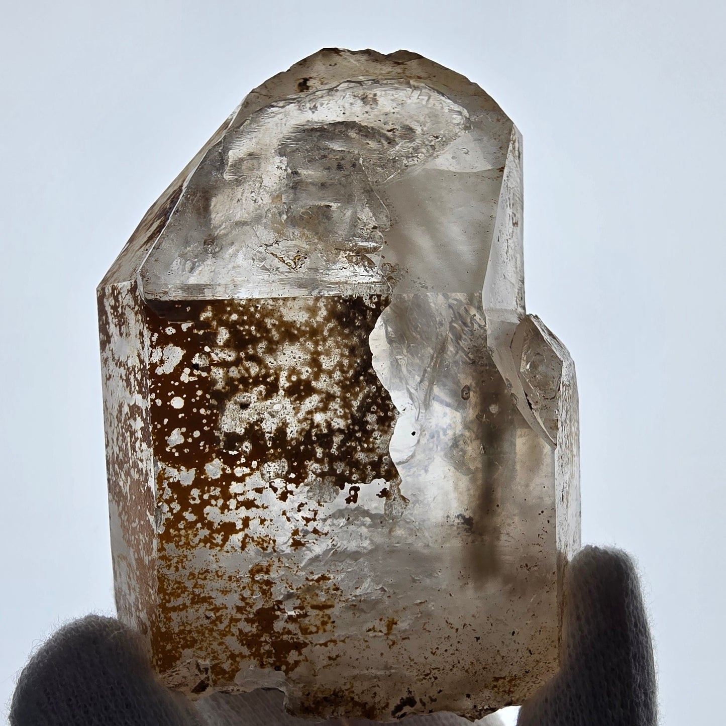 Sceptre de fenêtre Enhydro en quartz fumé, grande bulle, poche Saint-Valentin, Namibie, 88 x 64 x 36 mm