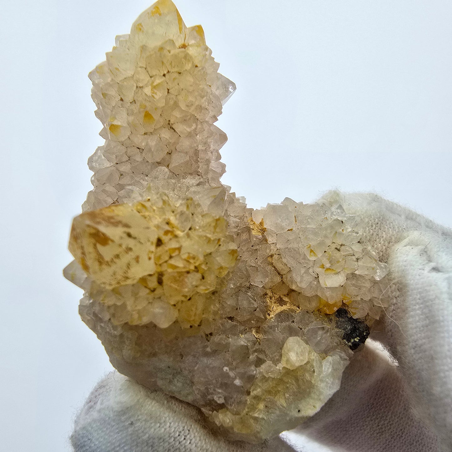 Kaktusquarz, Spirit Quarz XX Stufe Boekenhouthoek, Südafrika 45*30*23mm Sammlung