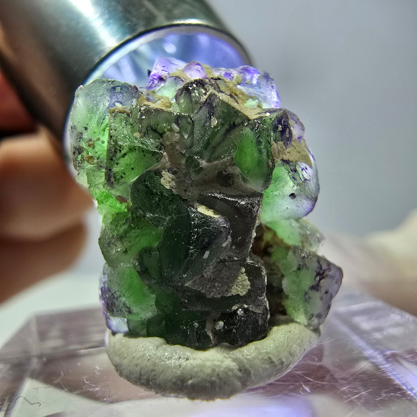 Cube de fluorite fantôme, zonal, spécimen de tourmaline Schorl, Erongo, Namibie, 18 x 15 x 15 mm
