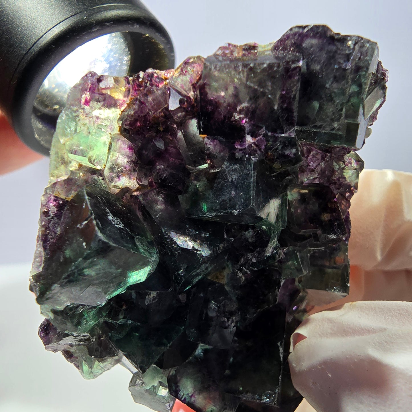 Spécimen de cube de fluorite fantôme parqueté vert violet Okorusu, Namibie 52*42*16 mm