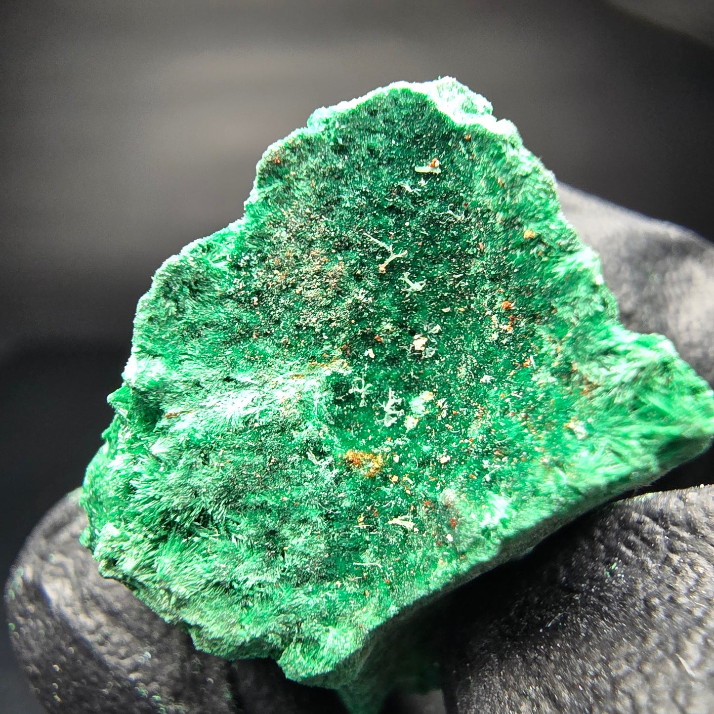 Seltene Malachit Stufe, grün Kaokoveld, Namibia 33*21*16mm Mineraliensammlung