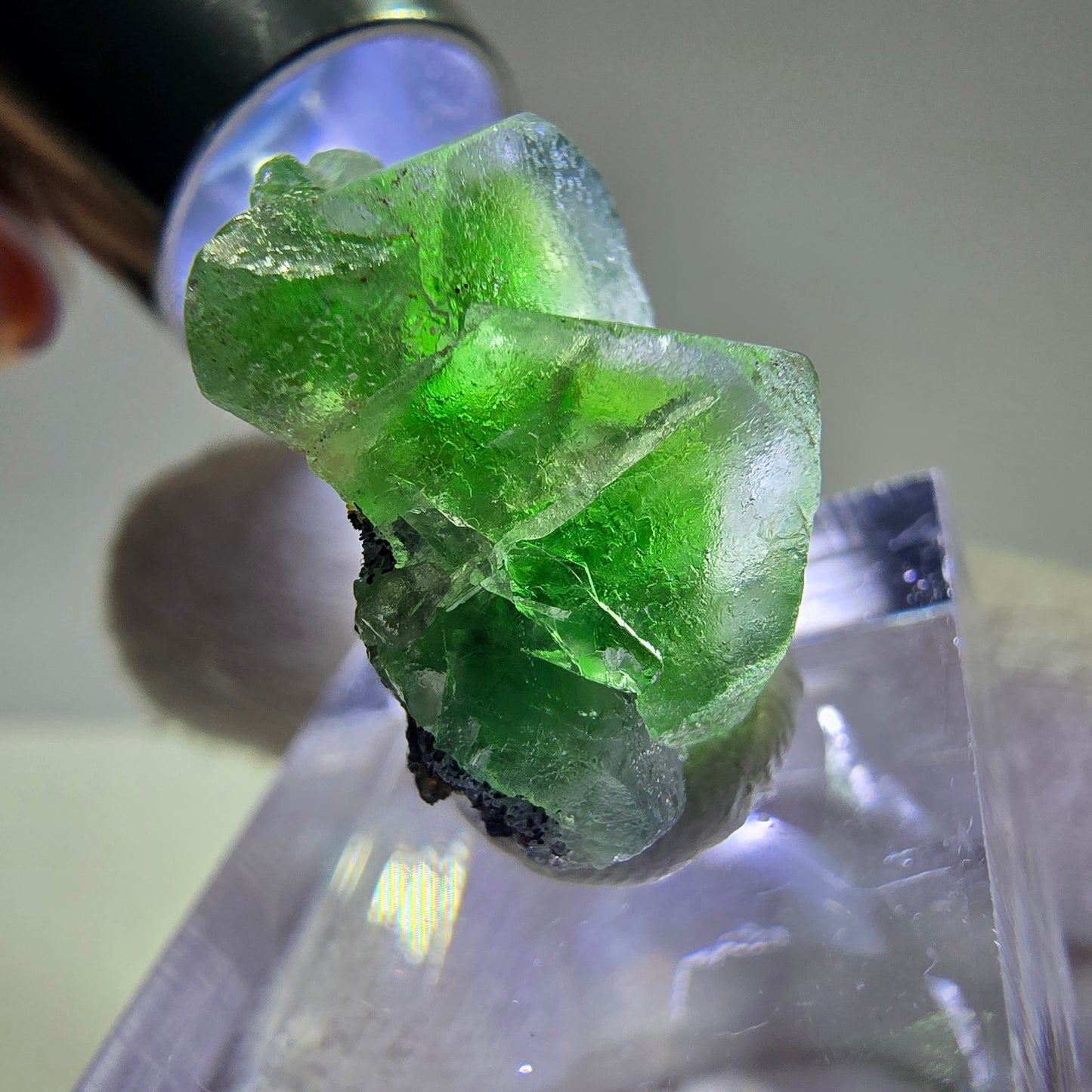 Cube de fluorite fantôme, spécimen de tourmaline Schorl, Erongo, Namibie, 23 x 19 x 15 mm