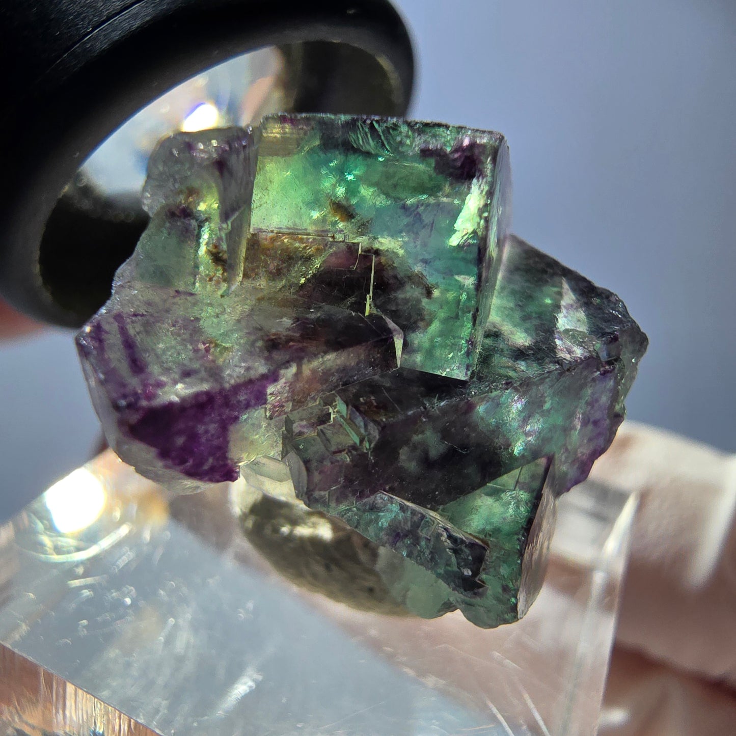 Spécimen de cube de fluorite fantôme, parqueté vert violet Okorusu, Namibie 28*21*15 mm