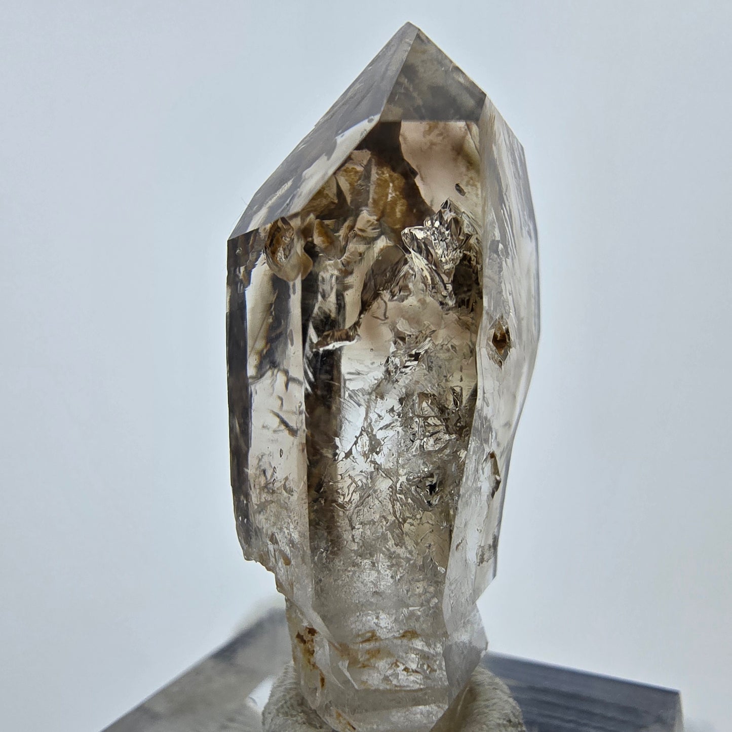 Enhydro Phantom Rauchquarz Fenster Zepter, 1x Blase Goboboseb Namibia 38*19*12mm