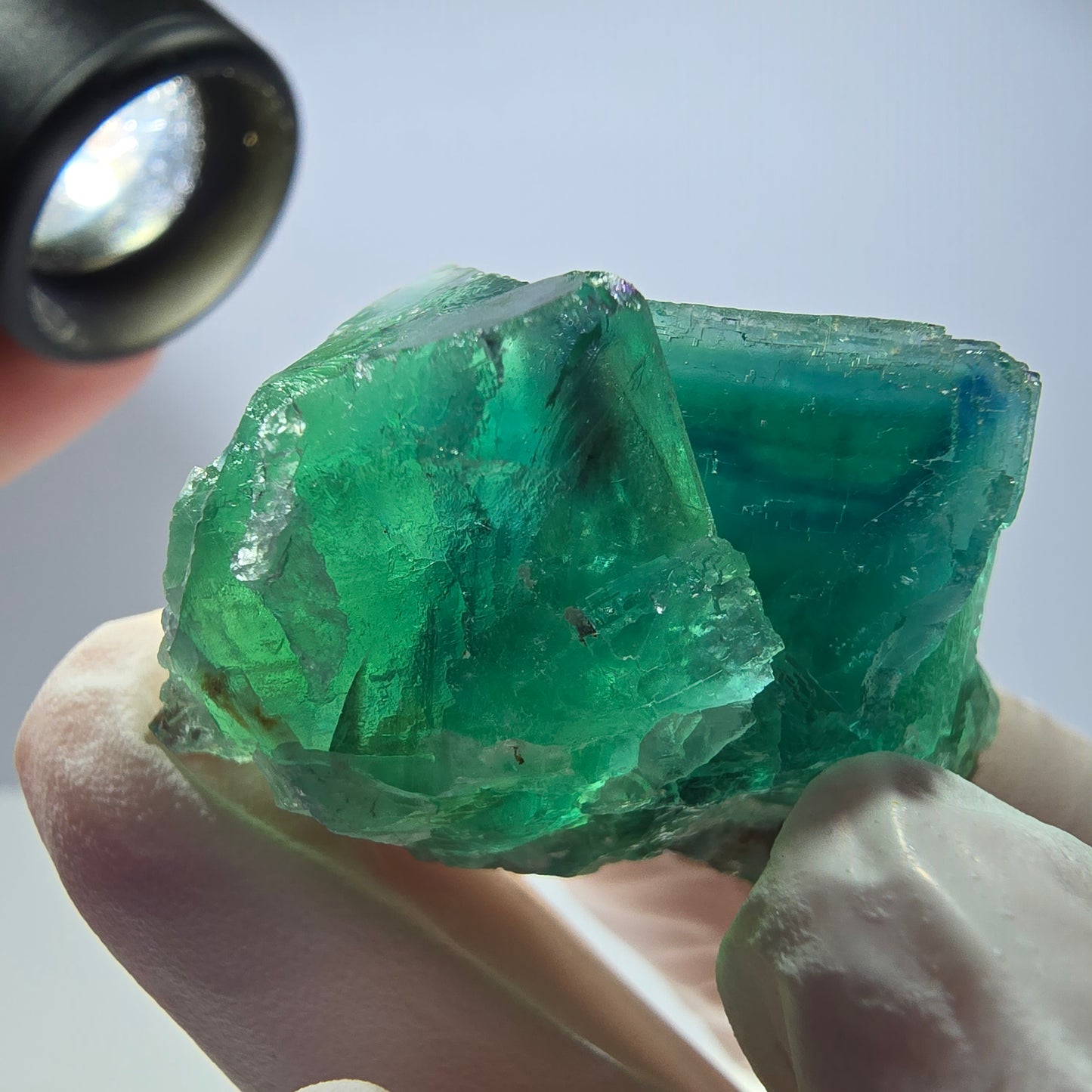 Spécimen de cube de fluorite fantôme transparente, vert parqueté, Okorusu, Namibie, 44 x 32 x 22 mm