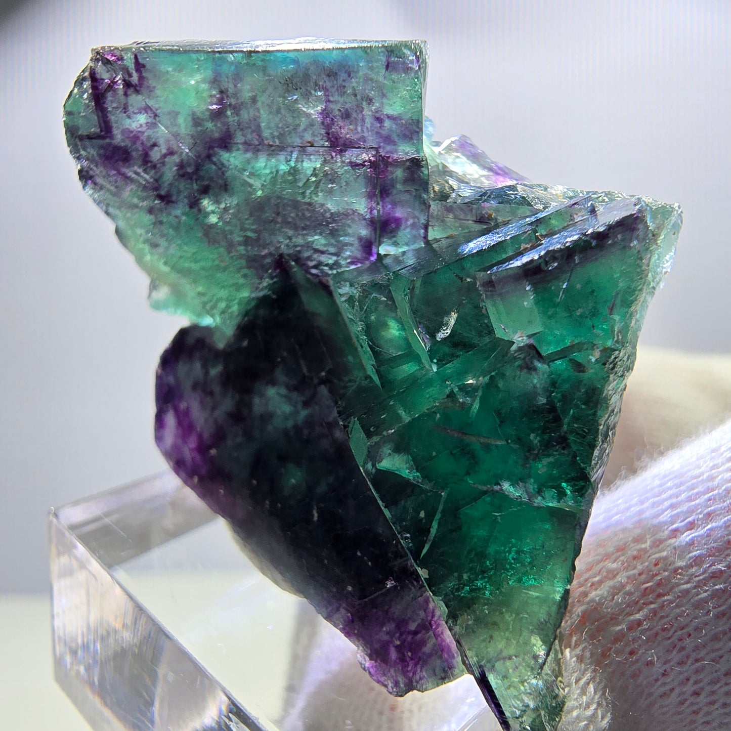 Spécimen rare de cube de fluorite fantôme, vert-violet zonal, Okorusu, Namibie, 46 x 37 x 24 mm