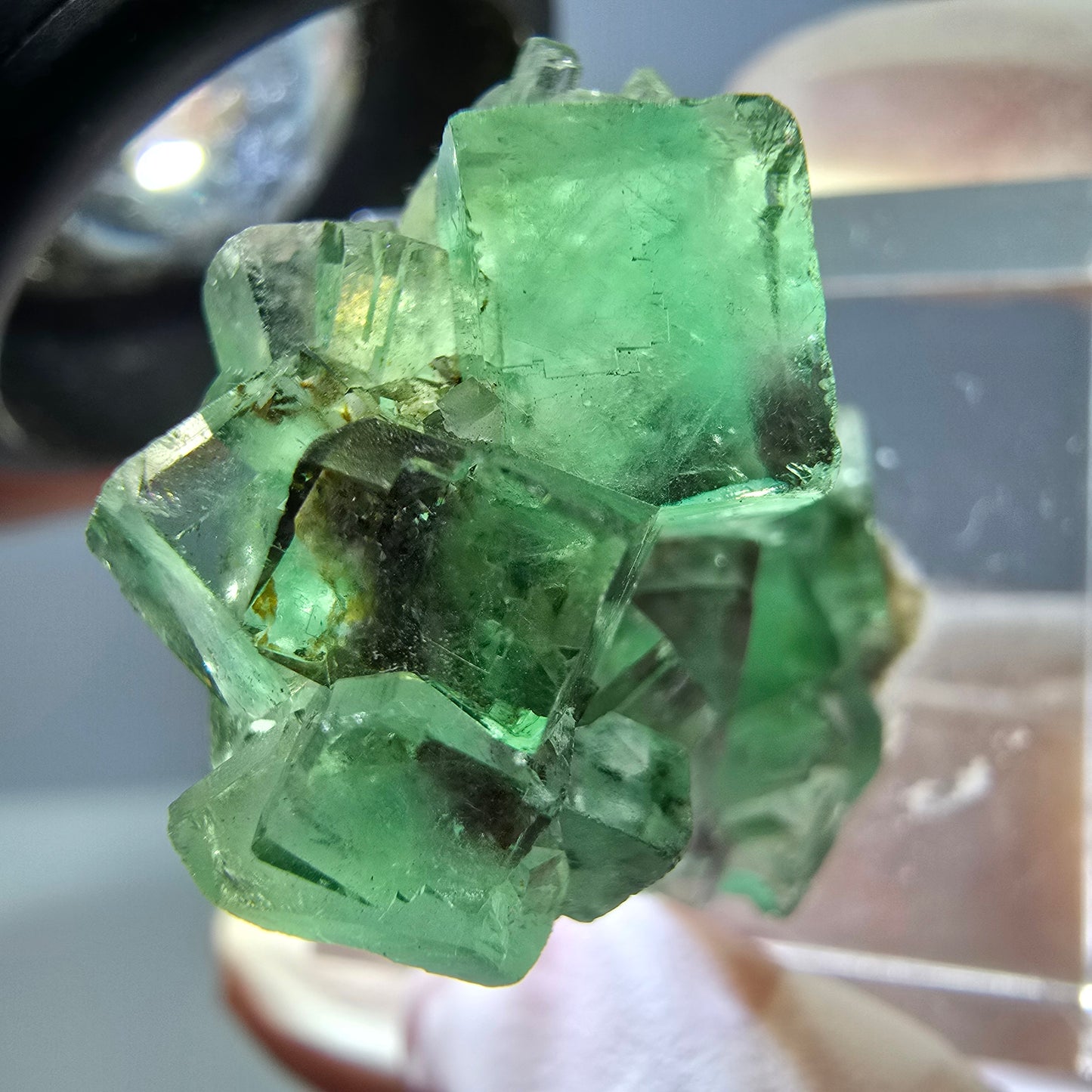 Spécimen de cube de fluorite fantôme, vert violet, Okorusu, Namibie, 25 x 24 x 15 mm