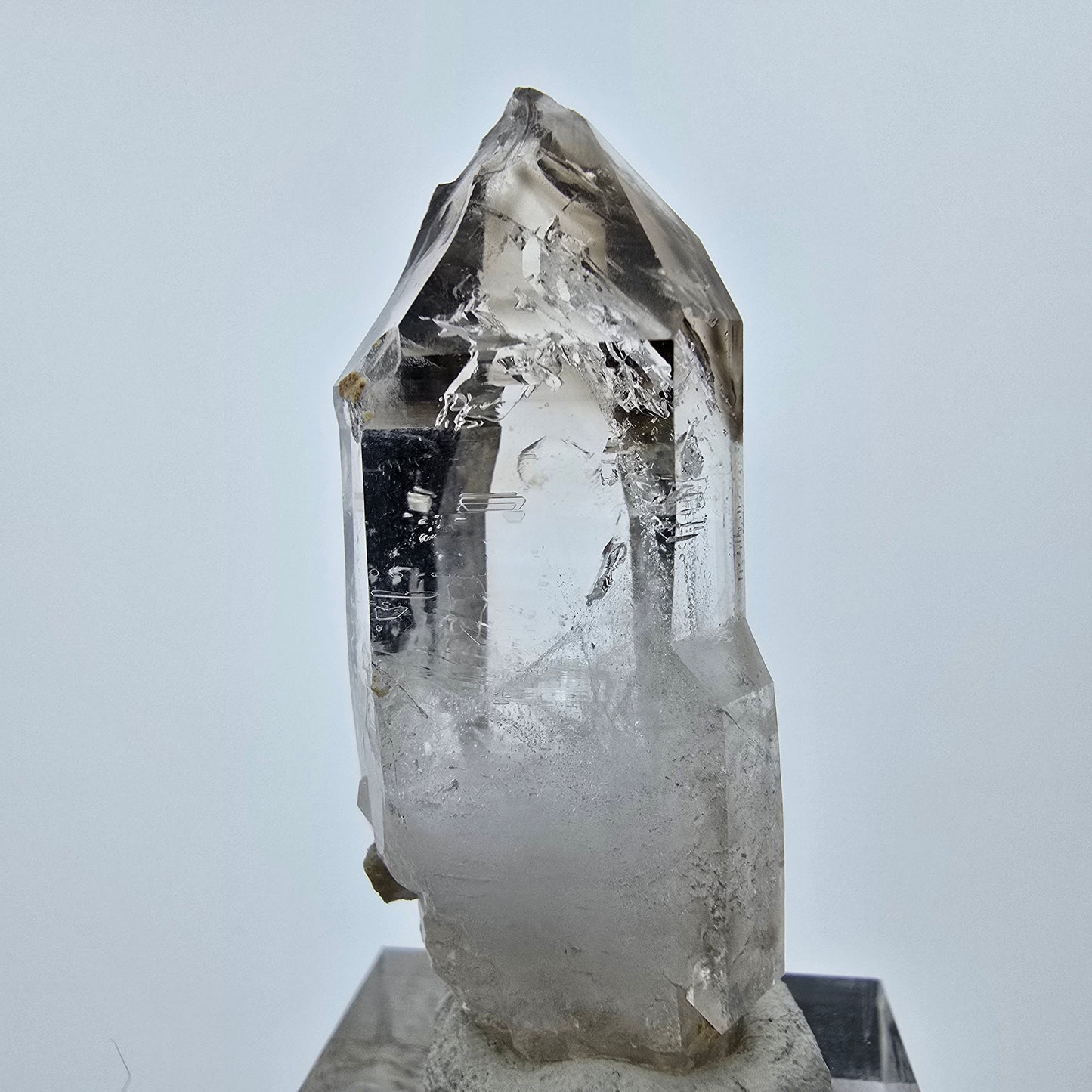 Enhydro Phantom Rauchquarz Zepter, 1x Blase Goboboseb, Namibia 47*17*14mm