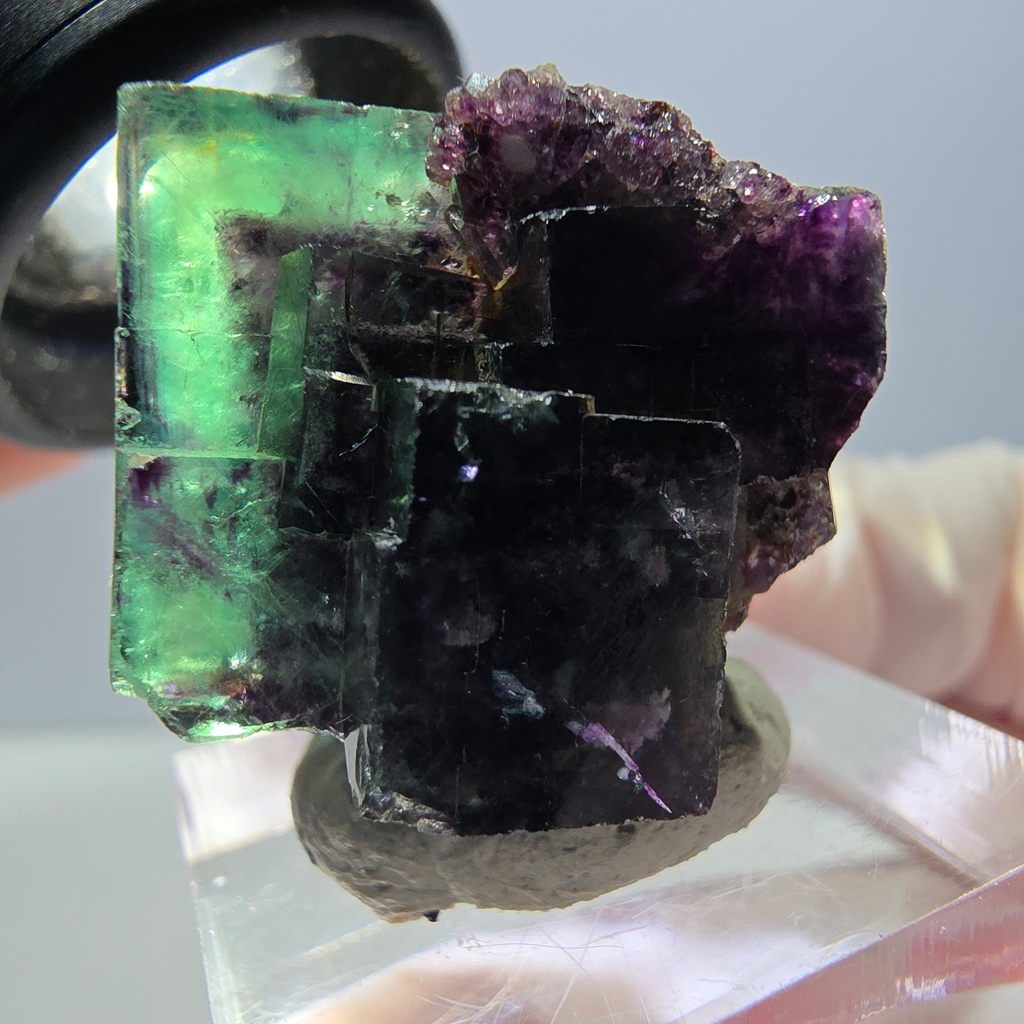 Spécimen de cube de fluorite fantôme, parqueté vert violet Okorusu, Namibie 28*27*22 mm