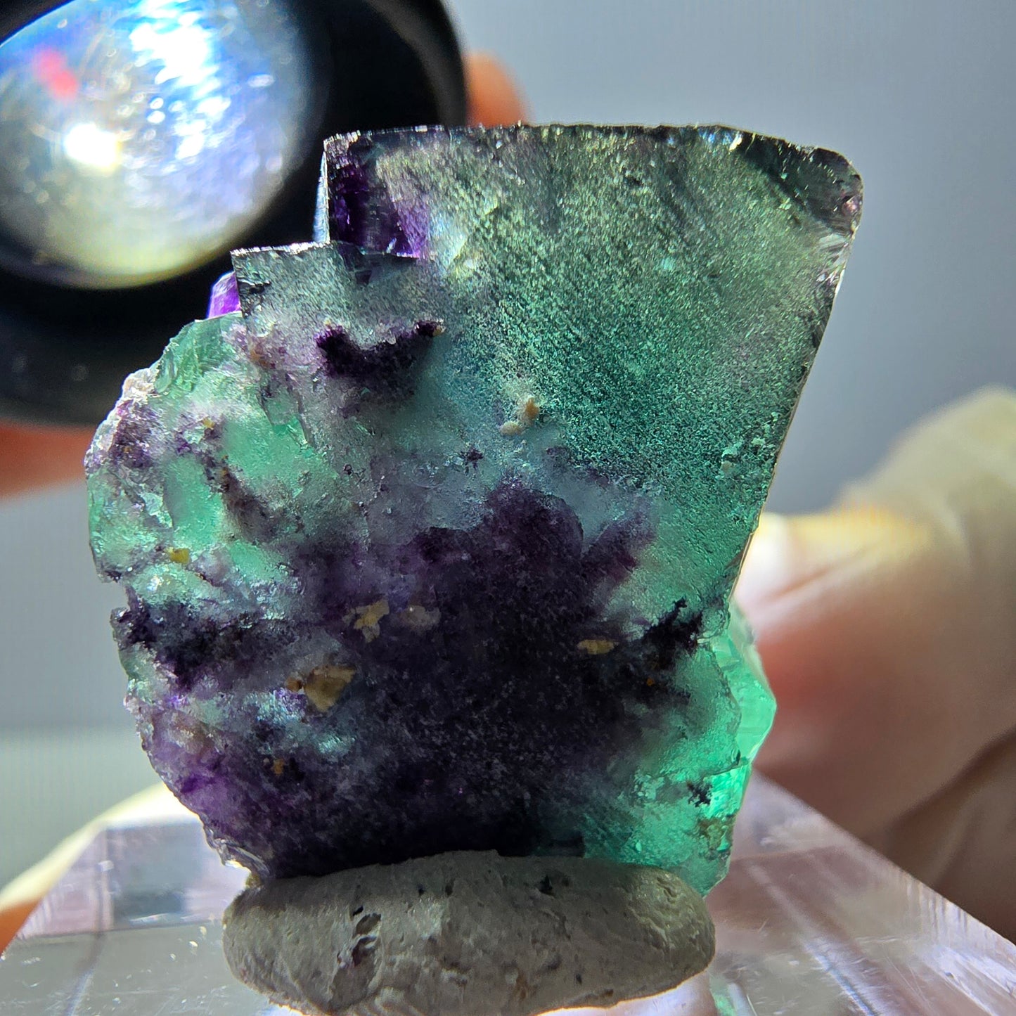 Phantom Fluorit Würfel Stufe, parkettiert grün lila Okorusu, Namibia 23*23*15mm