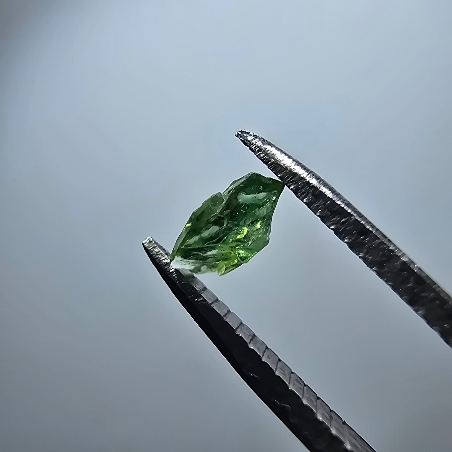 Cristal de tourmaline verdélite rare, vert Minas Gerais, Brésil #7981