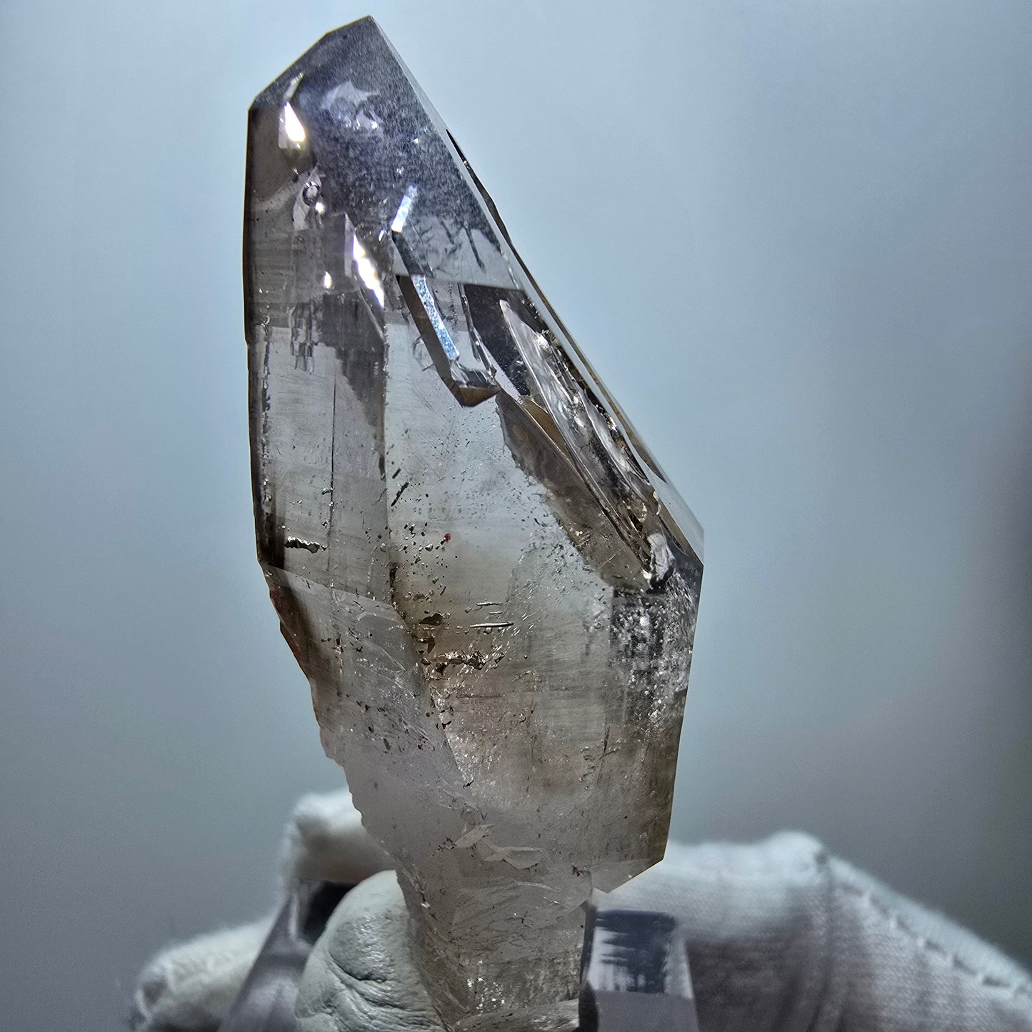Enhydro Phantom Rauchquarz Fenster Zepter, 1x Blase Goboboseb Namibia 58*26*22mm