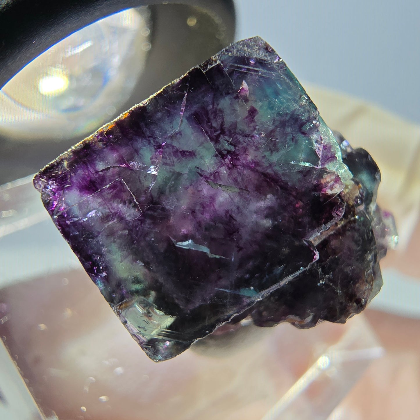Phantom Fluorit Würfel Stufe, parkettiert grün lila Okorusu, Namibia 19*16*16mm