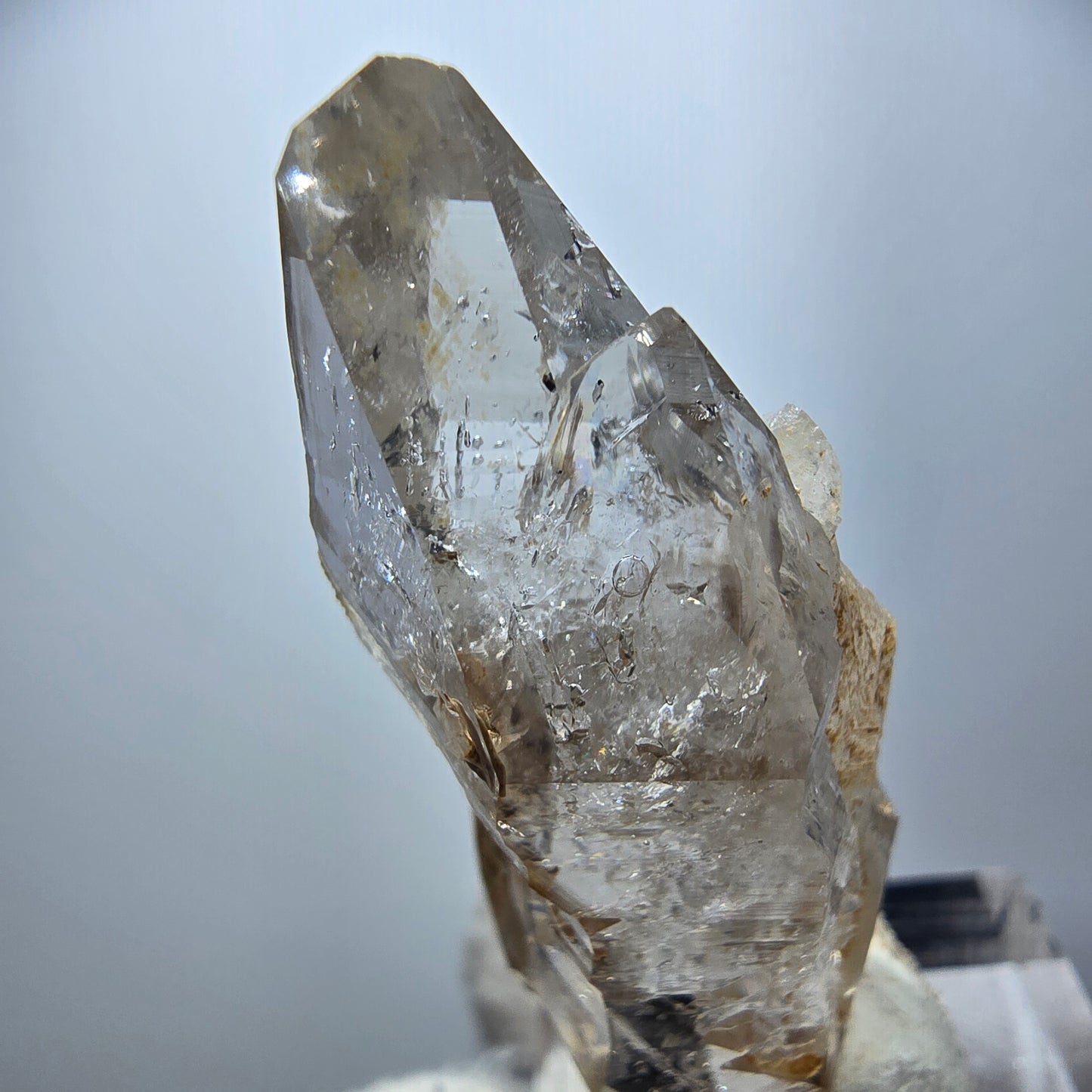 Enhydro Phantom Rauchquarz DT Zepter, 2x Blase Goboboseb, Namibia 50*17*16mm