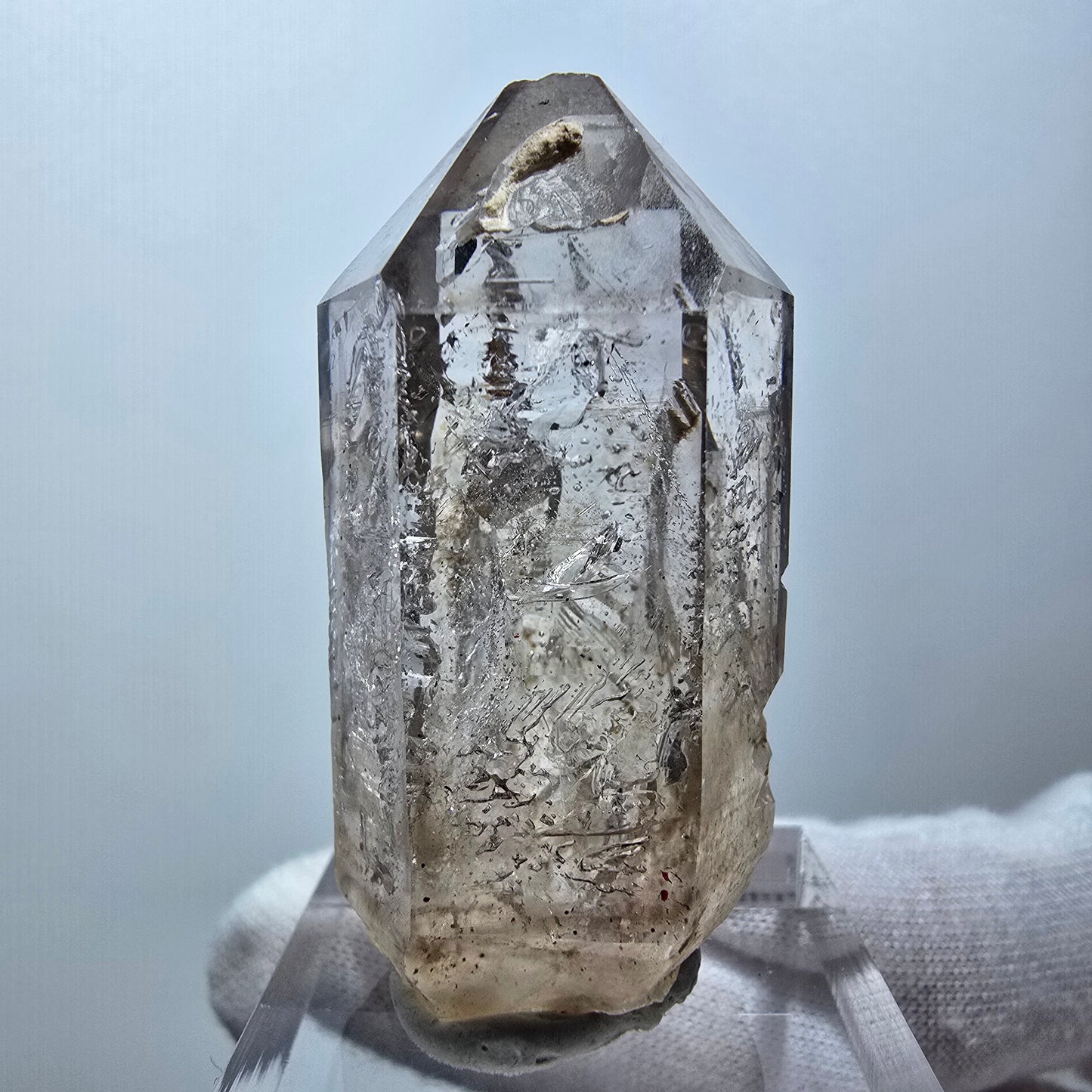 Enhydro Phantom Rauchquarz Zepter, 1x Blase Goboboseb, Namibia 44*21*19mm