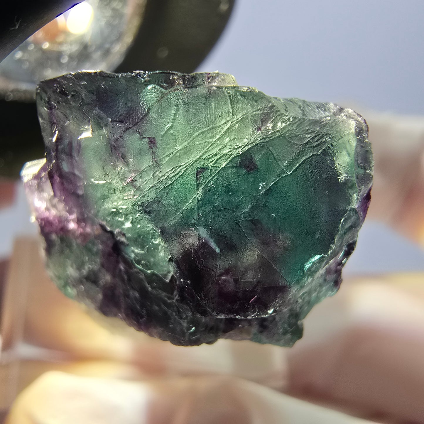 Spécimen de cube de fluorite fantôme, parqueté vert violet Okorusu, Namibie 32*23*16 mm