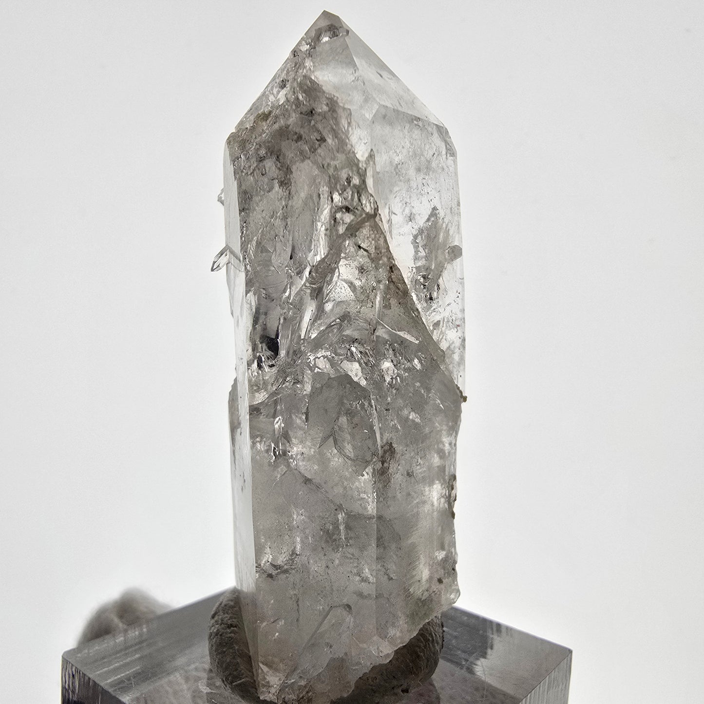 Skeleton Phantom Smoky Quartz Scepter Valentine Pocket, Namibia 51*18*17mm