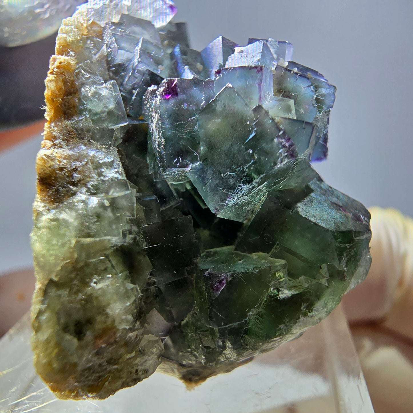 Spécimen de cube de fluorite fantôme, vert violet, Okorusu, Namibie, 35 x 28 x 22 mm