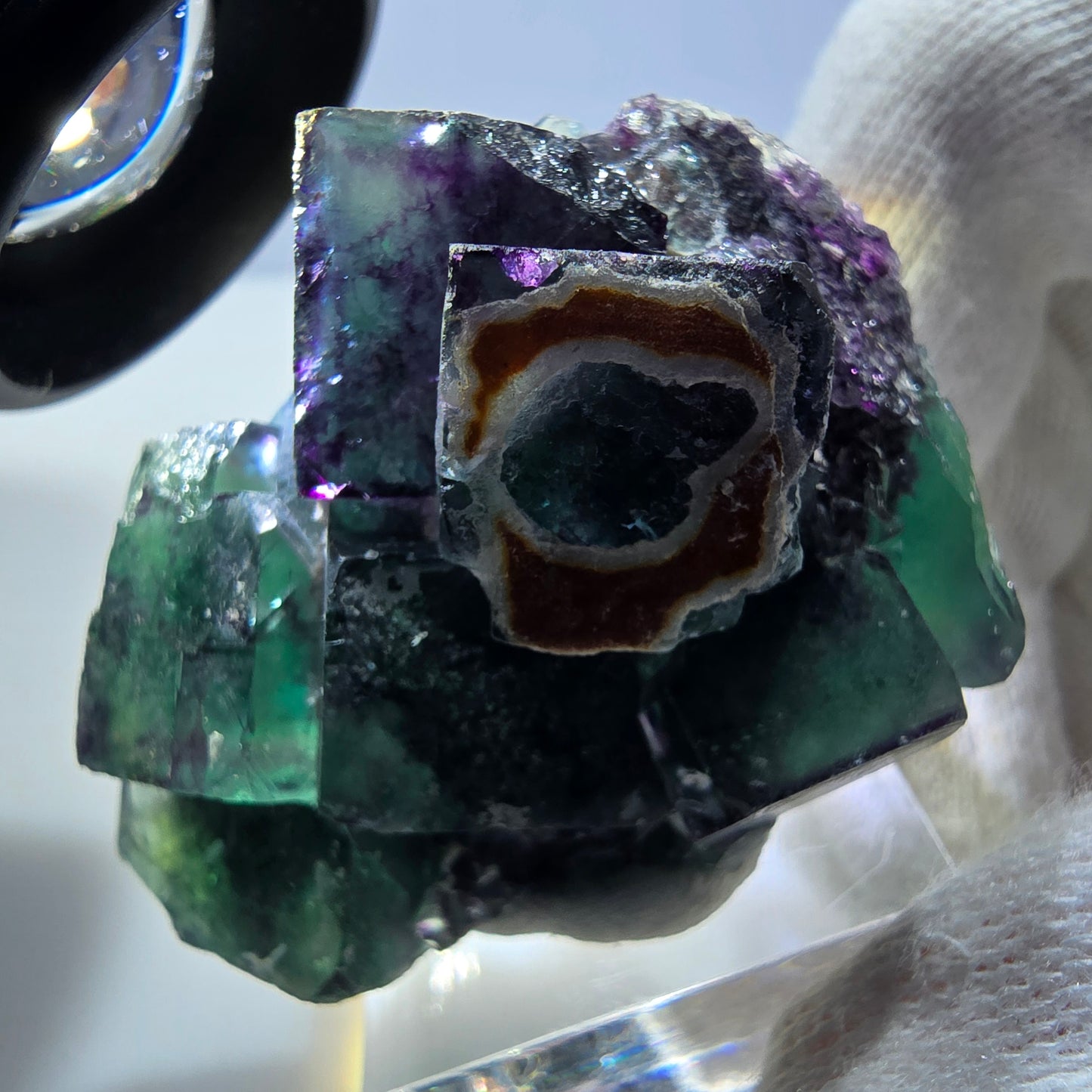 Seltene Phantom Fluorit Würfel Stufe zonal grün lila Okorusu, Namibia 50*37*20mm