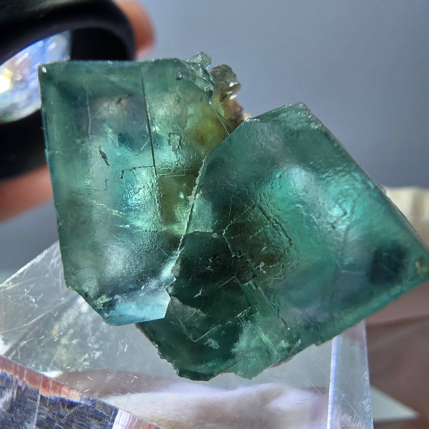 Phantom Fluorit Würfel Stufe, grün parkettiert Okorusu, Namibia 27*24*18mm