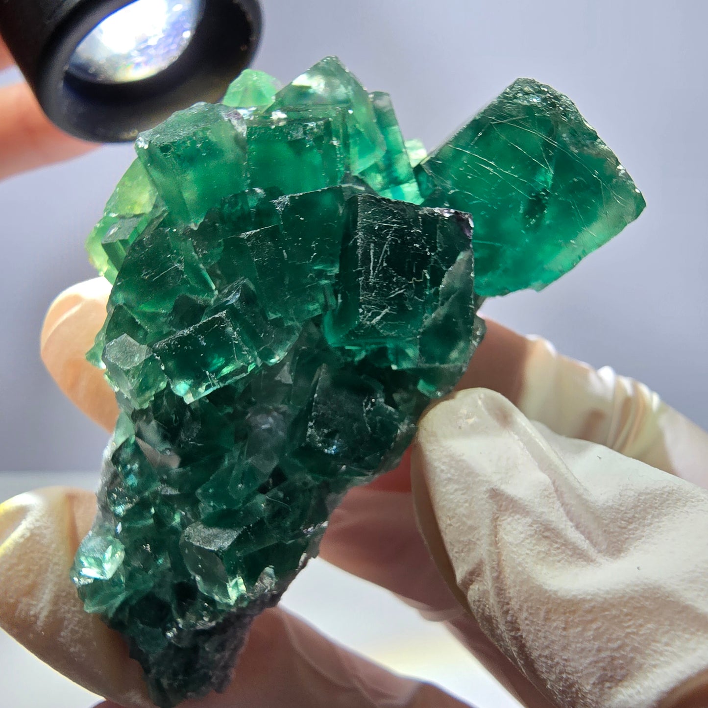 Rare spécimen de cube de fluorite fantôme, parqueté vert Okorusu, Namibie, 62 x 32 x 26 mm