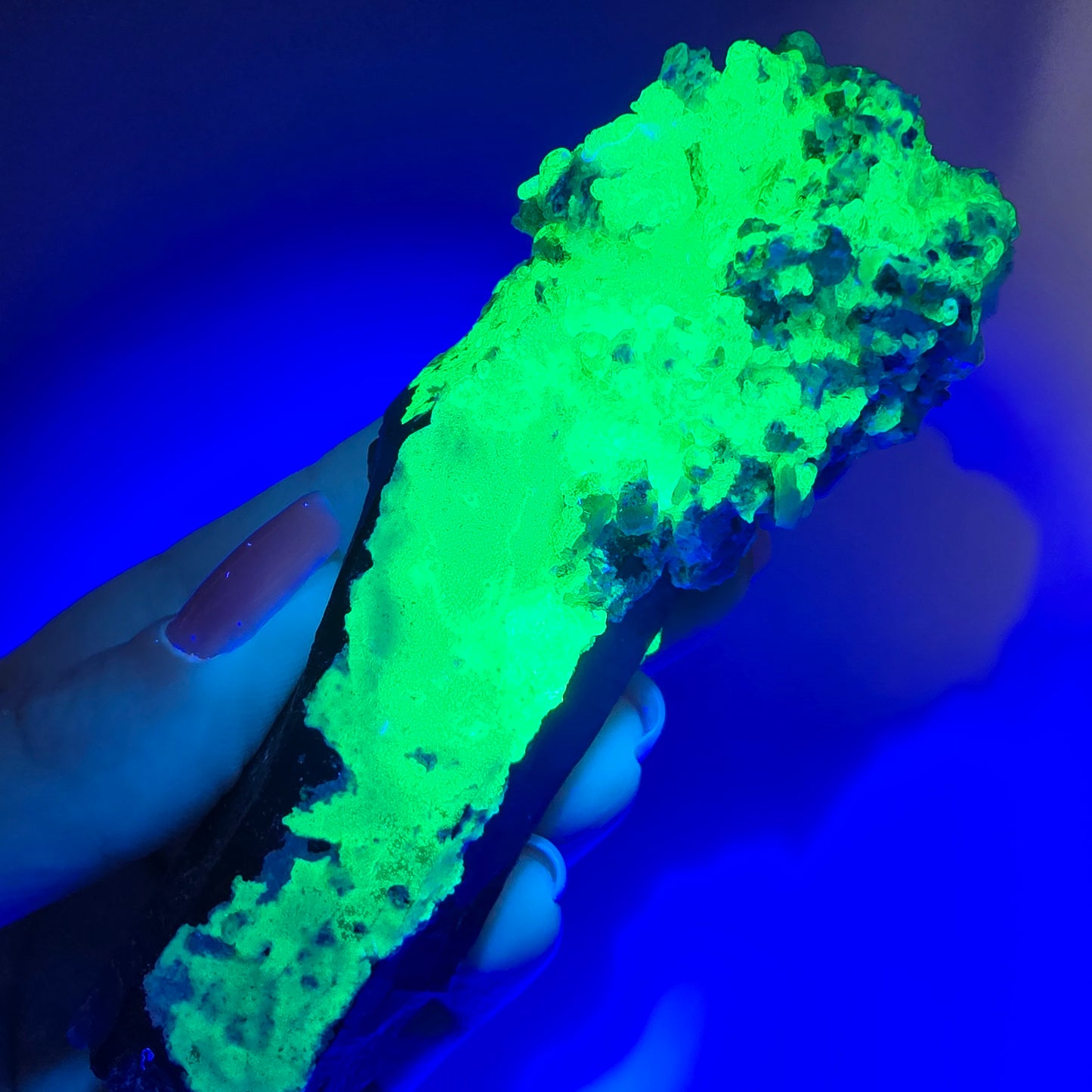 Quartz fumé squelette fantôme, spécimen d'hyalite, Erongo, Namibie, 105 x 42 x 31 mm