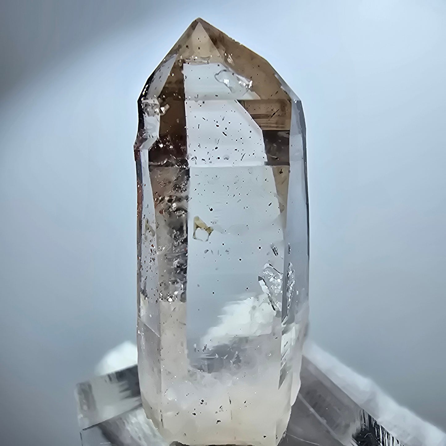 Enhydro Lemurian Phantom Rauchquarz Zepter Spitze Goboboseb, Namibia 41*18*11mm