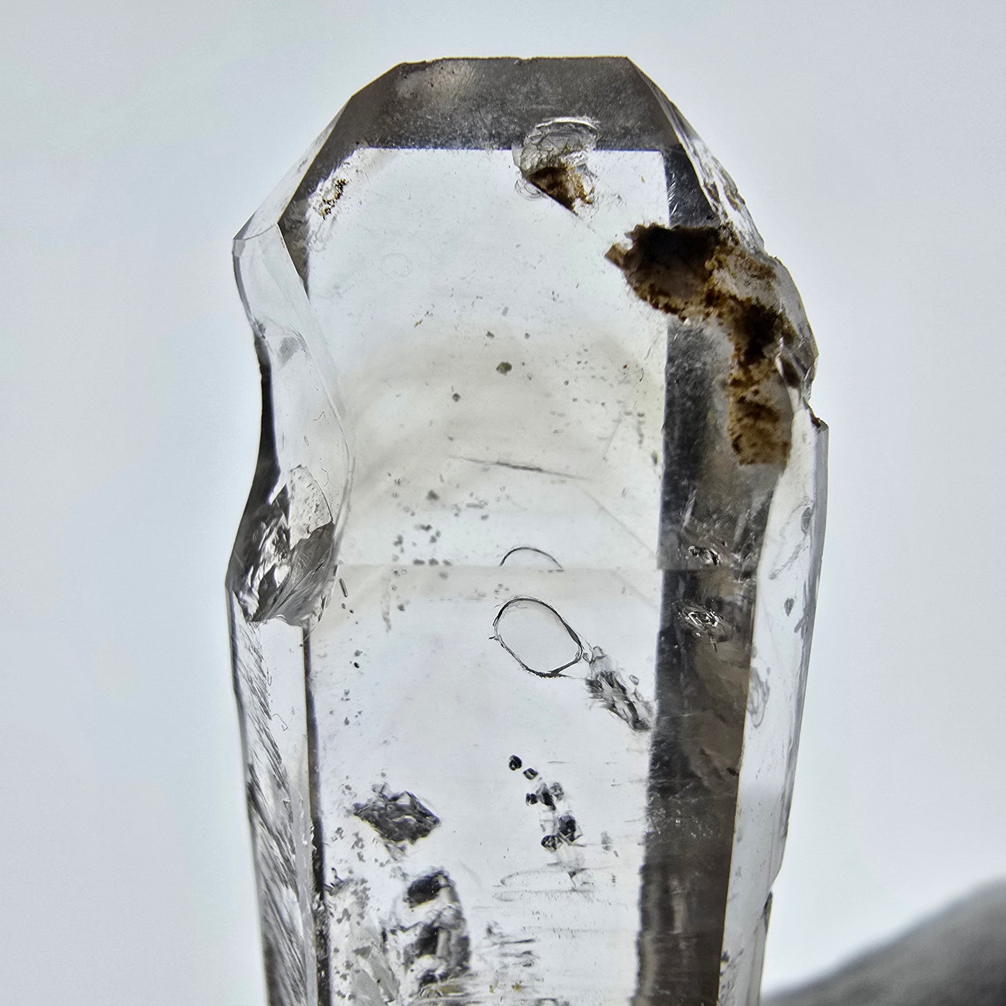 Sceptre squelette en quartz fumé Enhydro, 1 pochette bulle Saint-Valentin, Namibie 65 x 20 x 14 mm