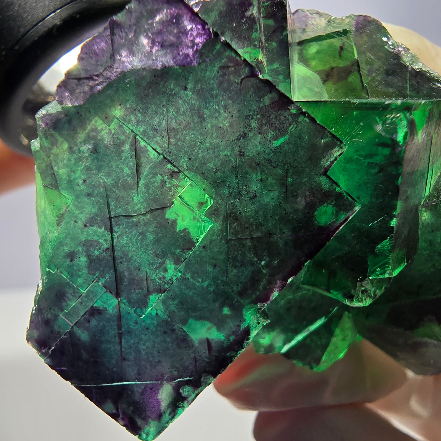 Spécimen de cube de fluorite fantôme parqueté vert violet Okorusu, Namibie 49*41*29mm